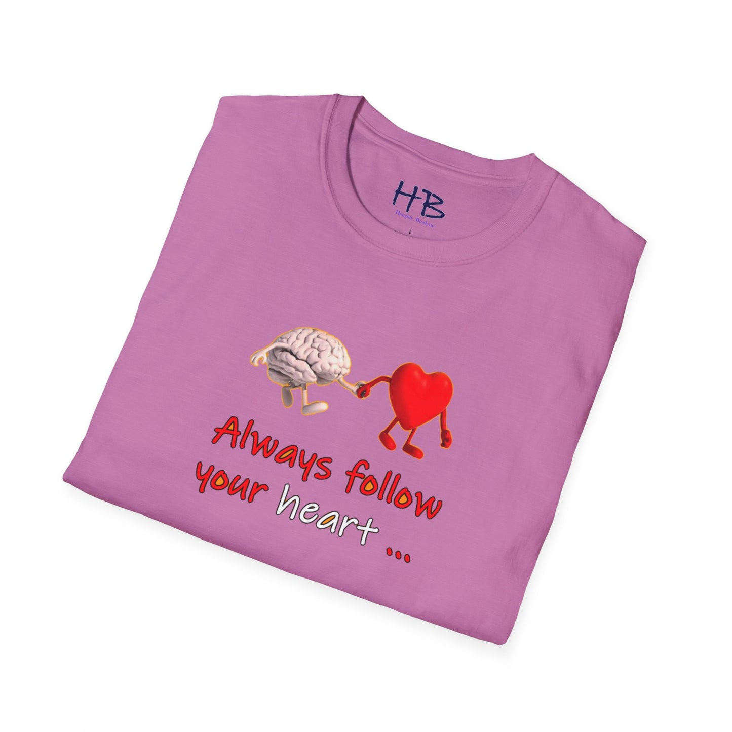 Embracing the Heart-Mind Connection: A Visual Reminder to Follow Your Heart with brain's logic