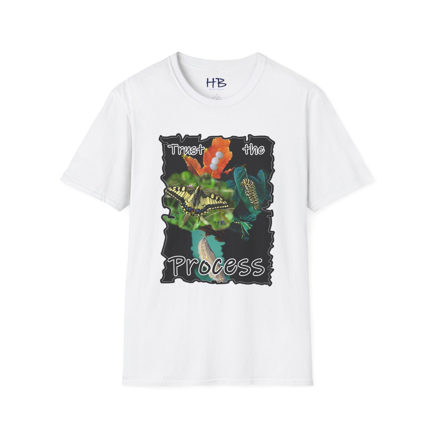 A Visual Odyssey of the Metamorphosis Marvel; The Circle of Life using Nature's Miracle to Embrace the Journey and Trust the Process from Eggs to Wings