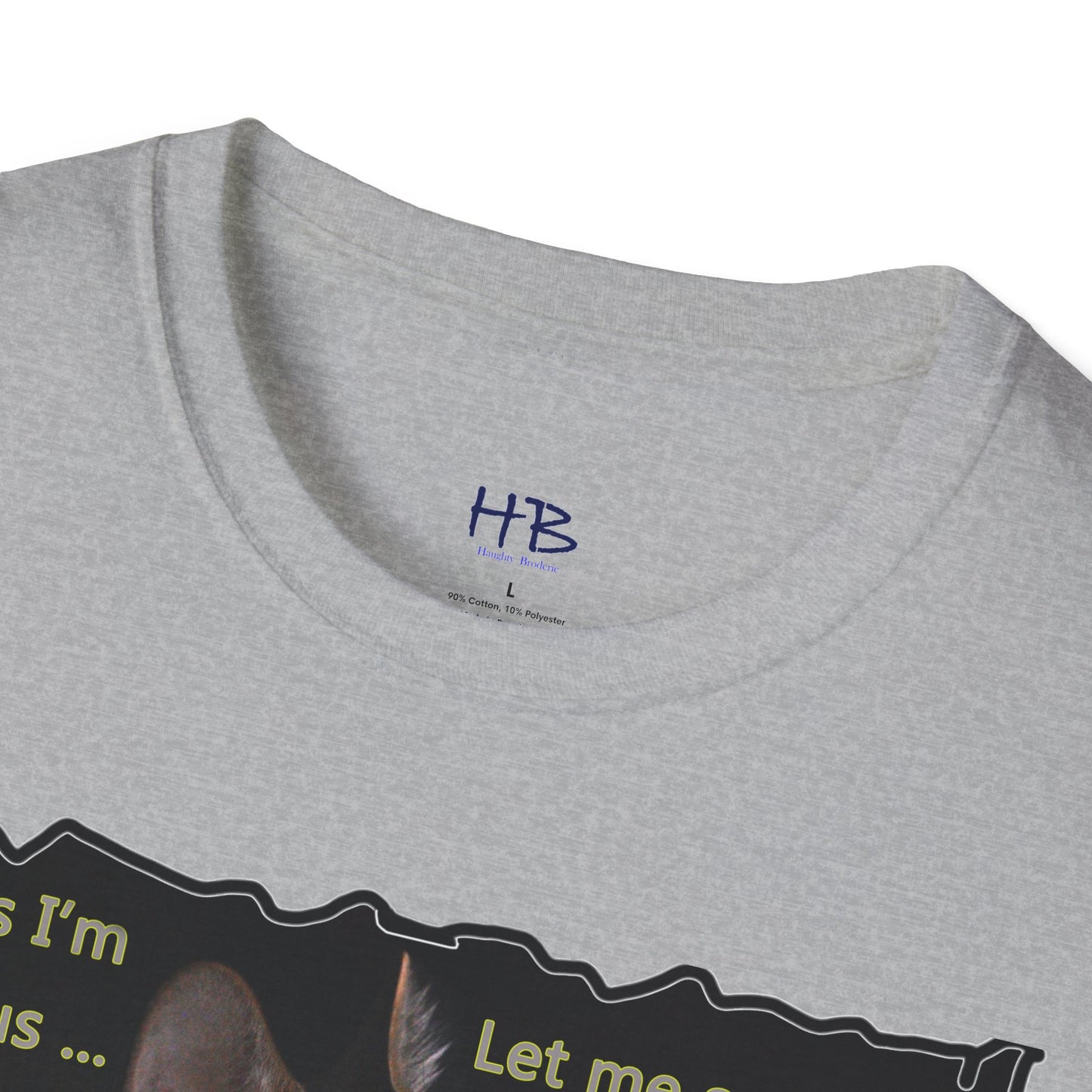 Kitten curiosity and care free