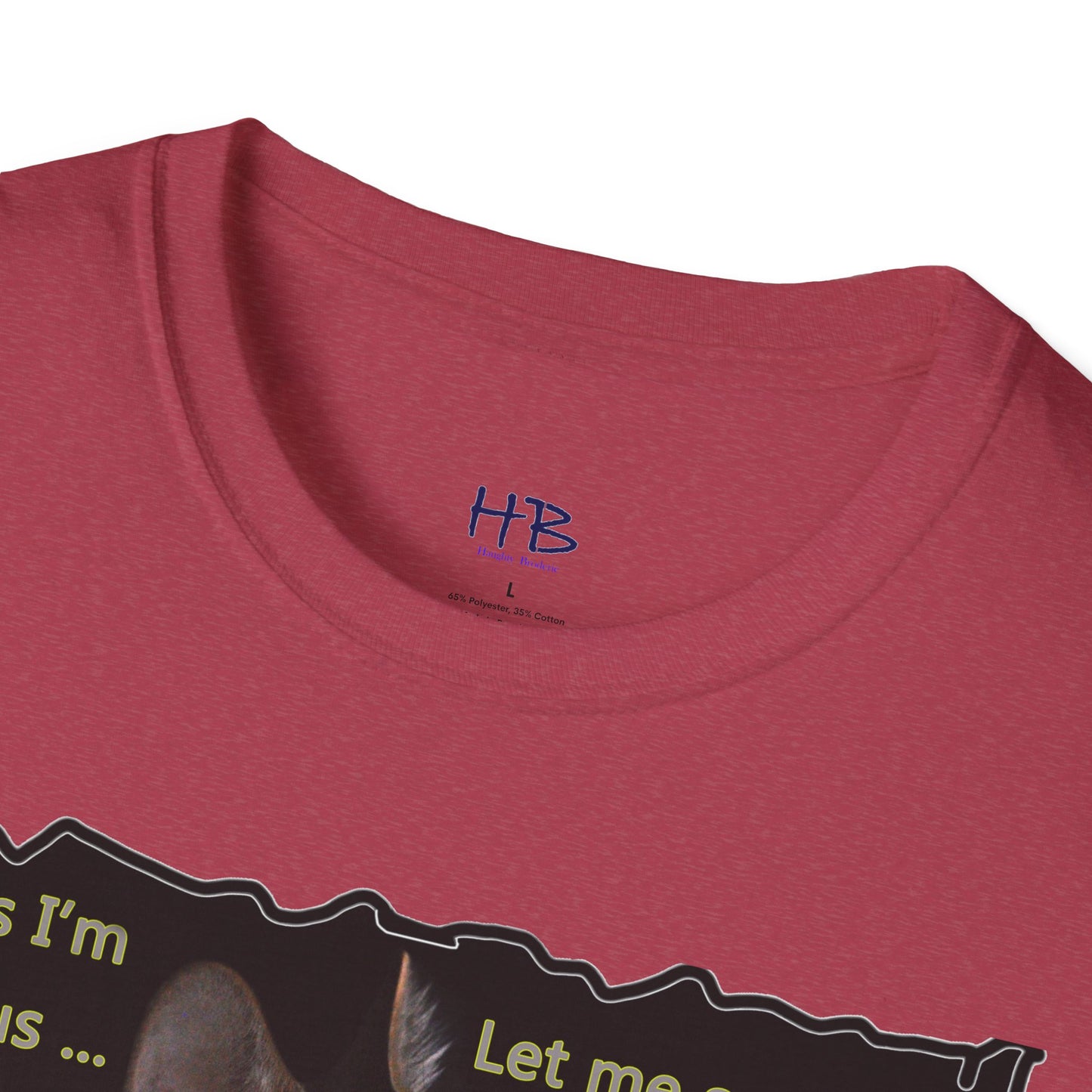 Kitten curiosity and care free