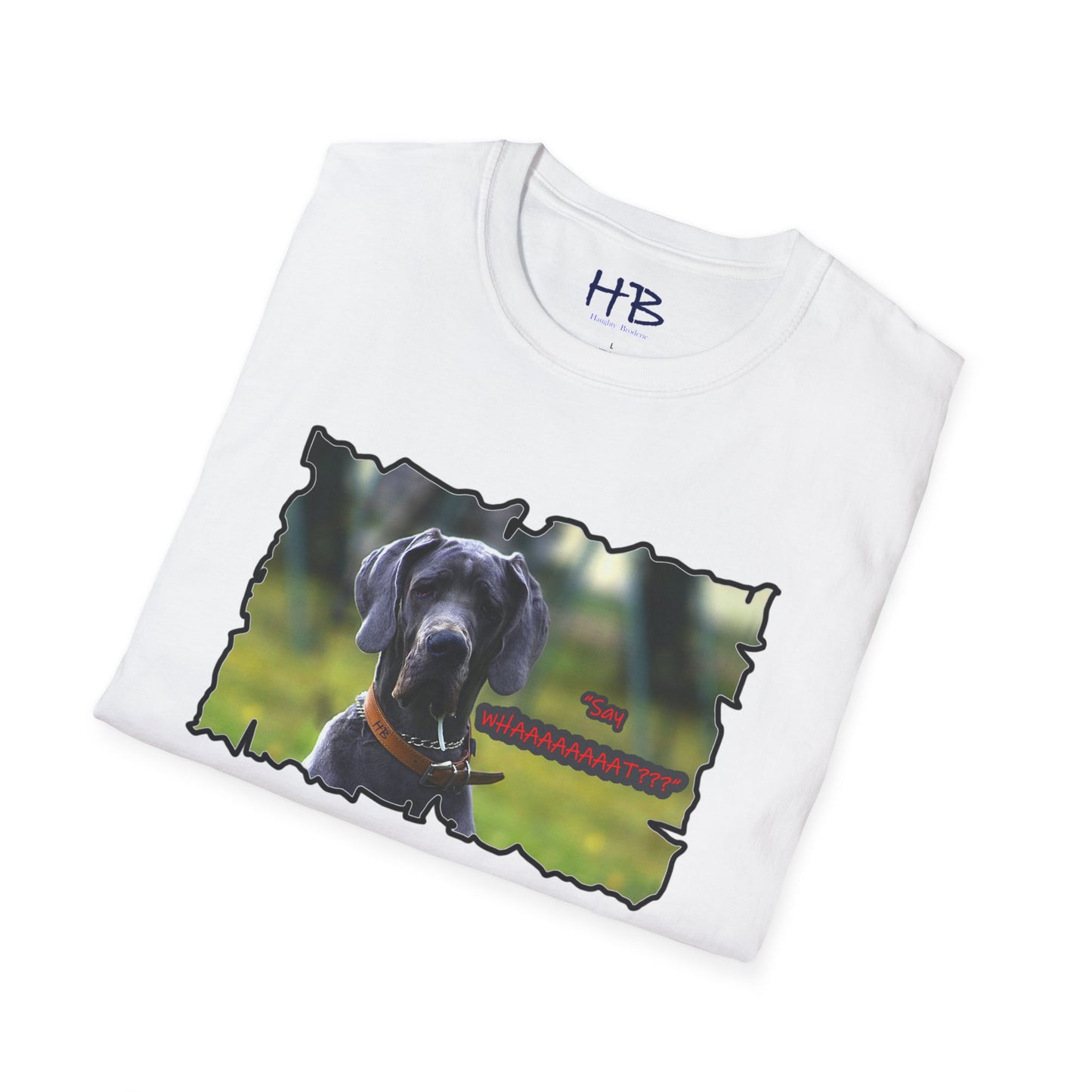 The Inquisitive Great Dane's Astonishment; Expression Captivatingly Curiosity of Amazement