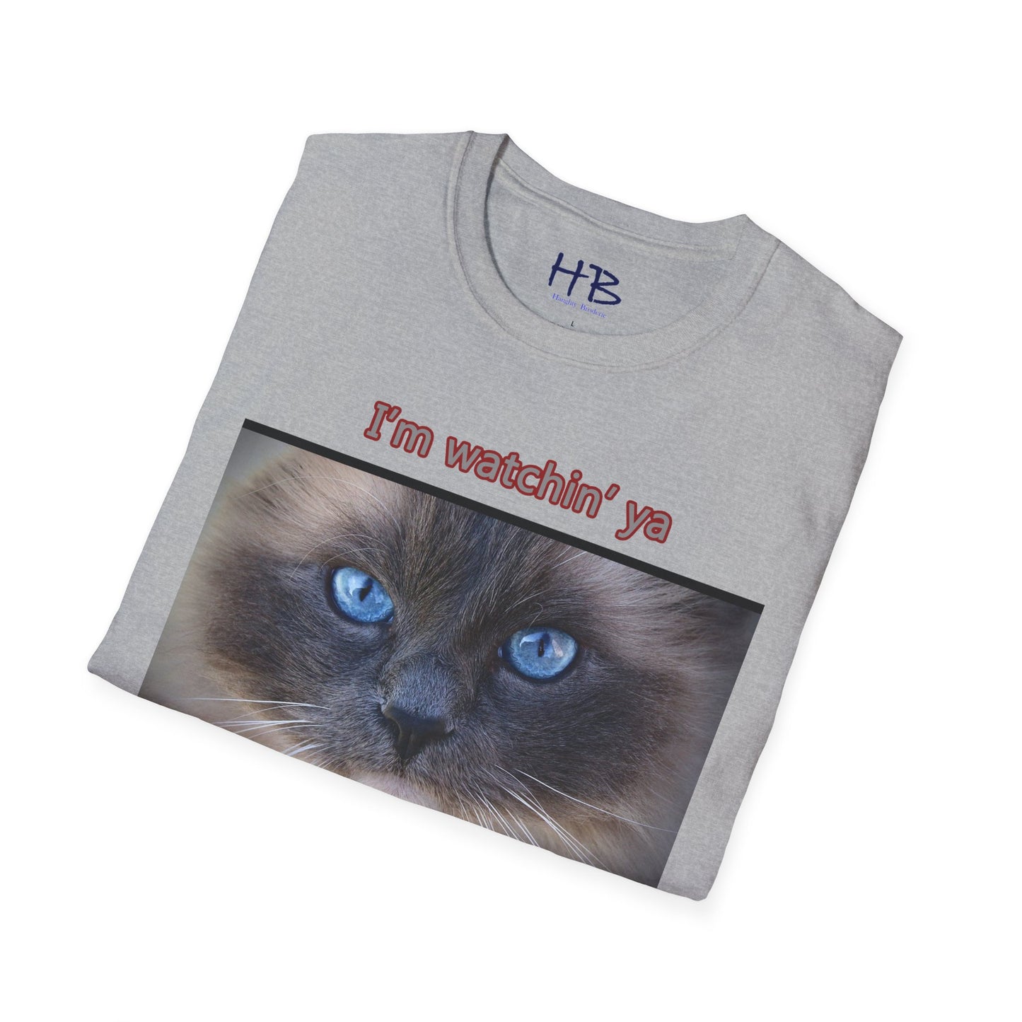 Cat with mesmerizing blue eyes "I'm watchin' ya"