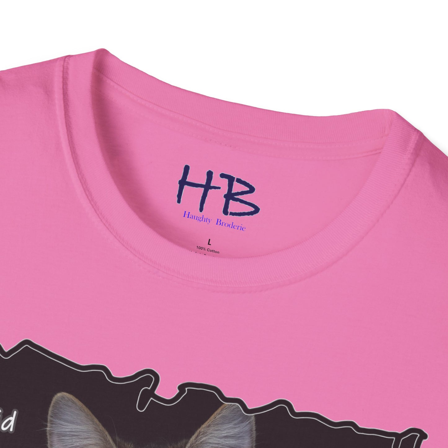 Cat shocked by what you did ""You've got to be kidding me. You did what?!""