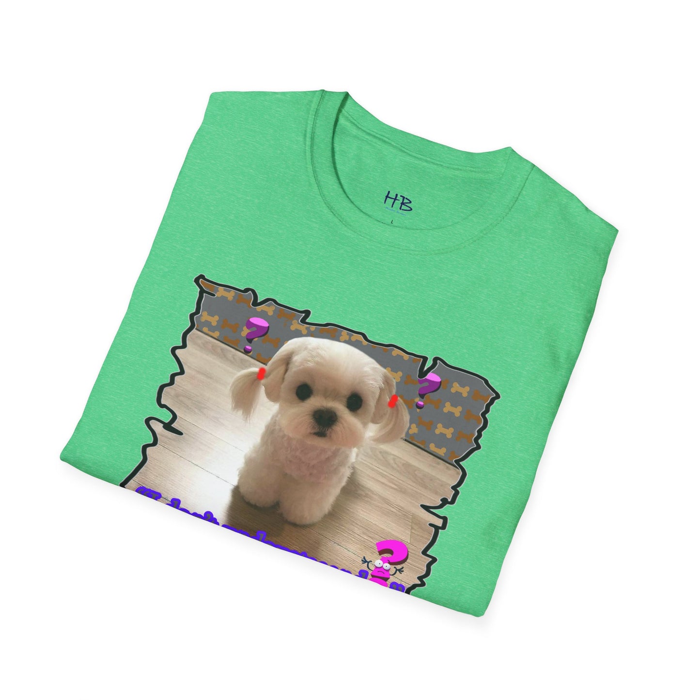 Baby Bichon Maltese with cluelessness innocent look "I don't undoustaaaand"