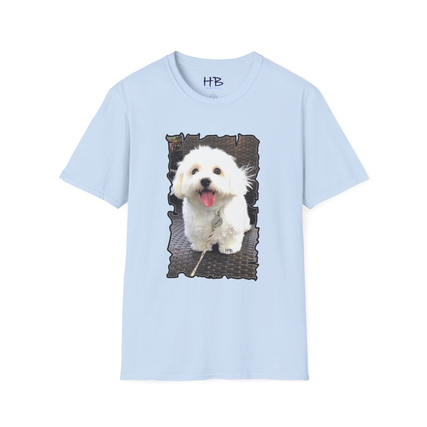 Bichon Malthese - Hermes with big smile and pink tongue