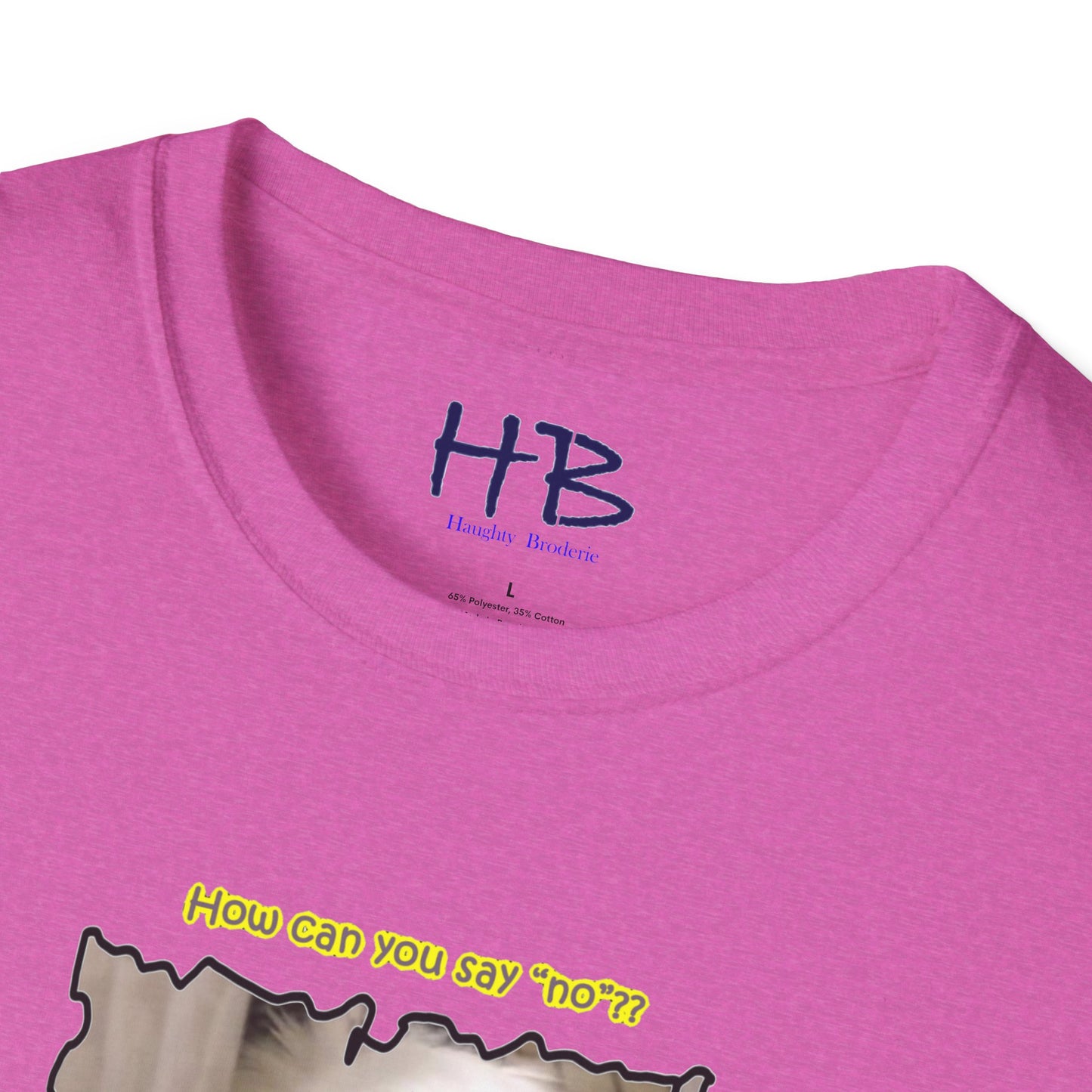 Cutest white Bichon Maltese wanting to play