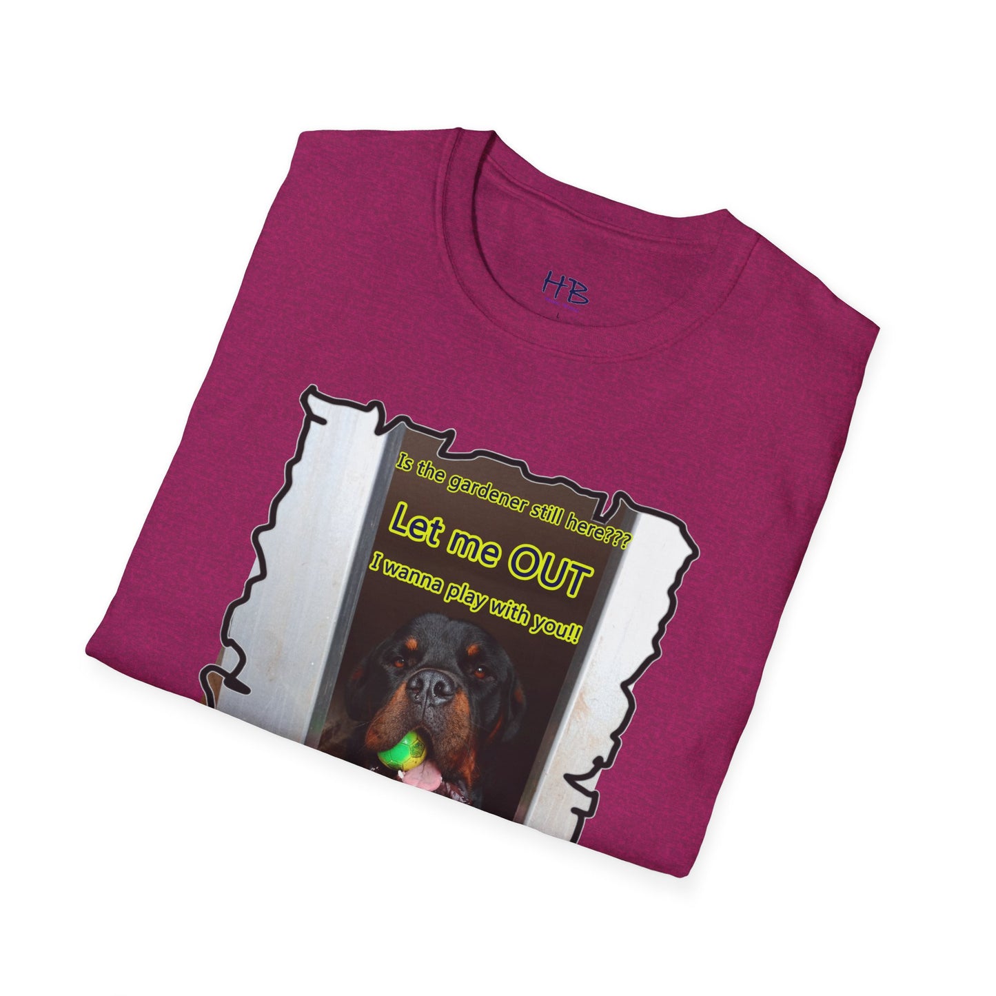 Luke (Male Rottie) with ball begging to play