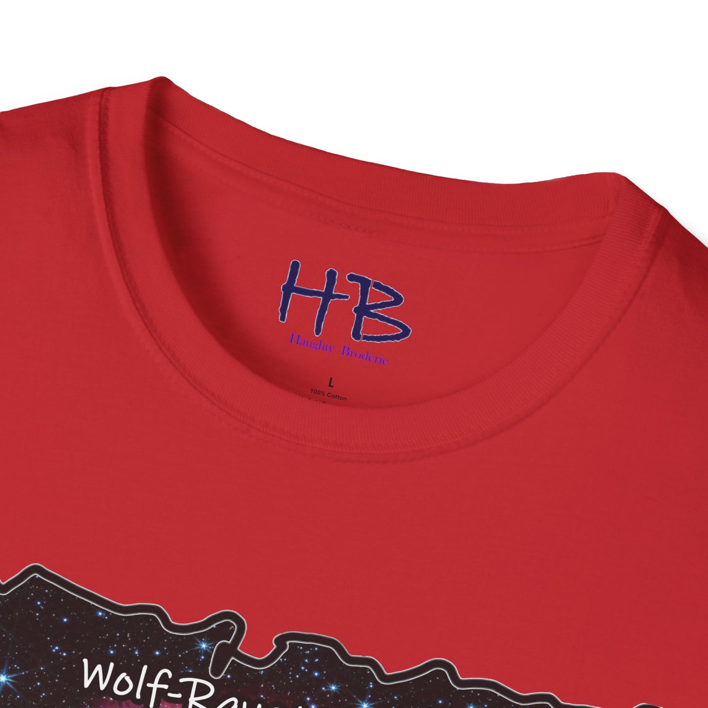 Wolf-Rayet's Stellar Majesty;  Beyond Infinity Galactic Allure