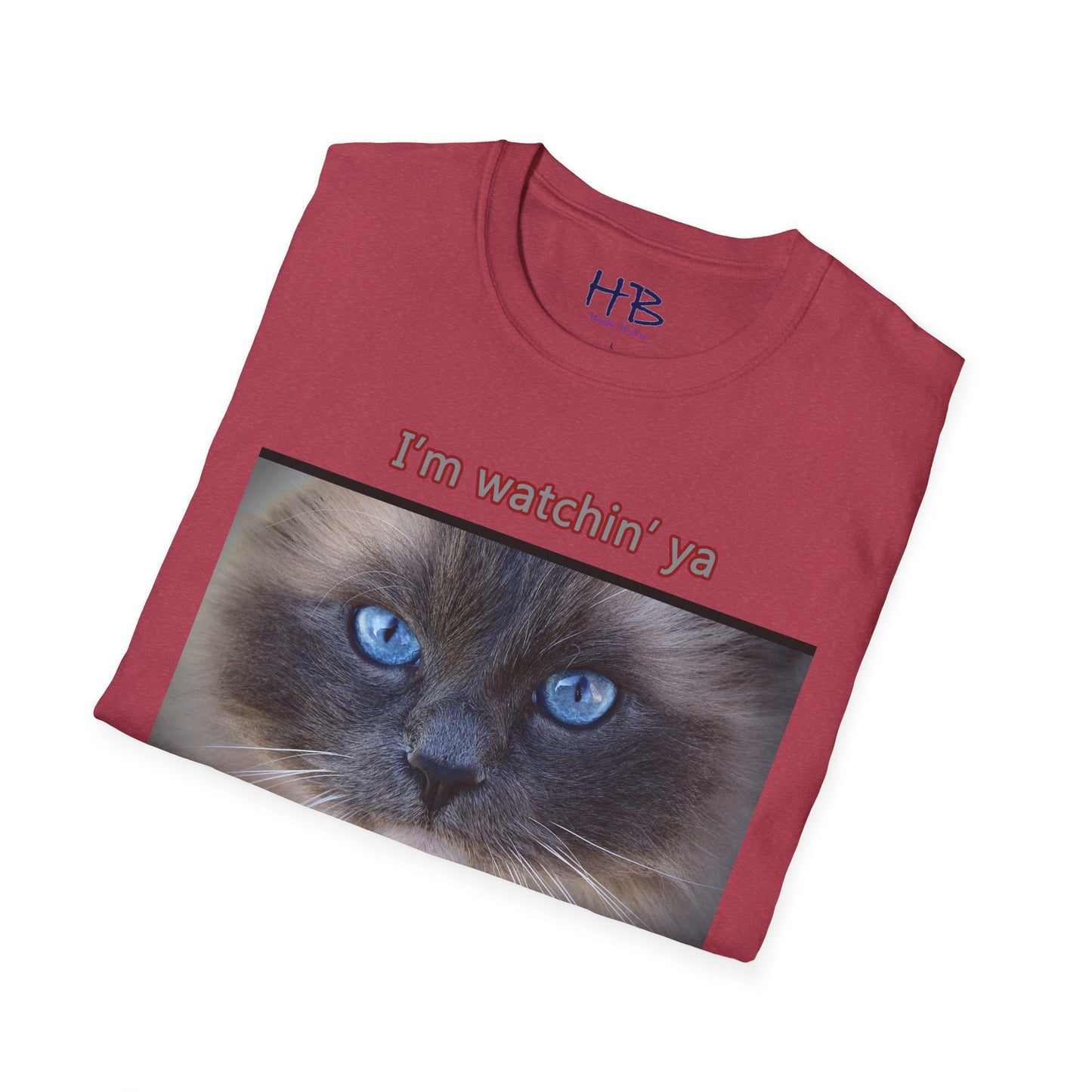 Cat with mesmerizing blue eyes "I'm watchin' ya"