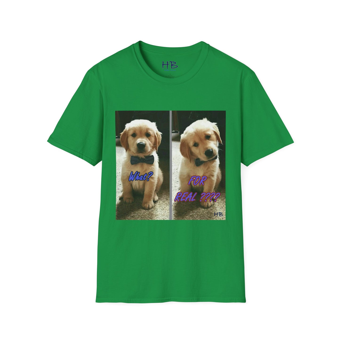 Labbie puppy asking "FOR REAL??????"