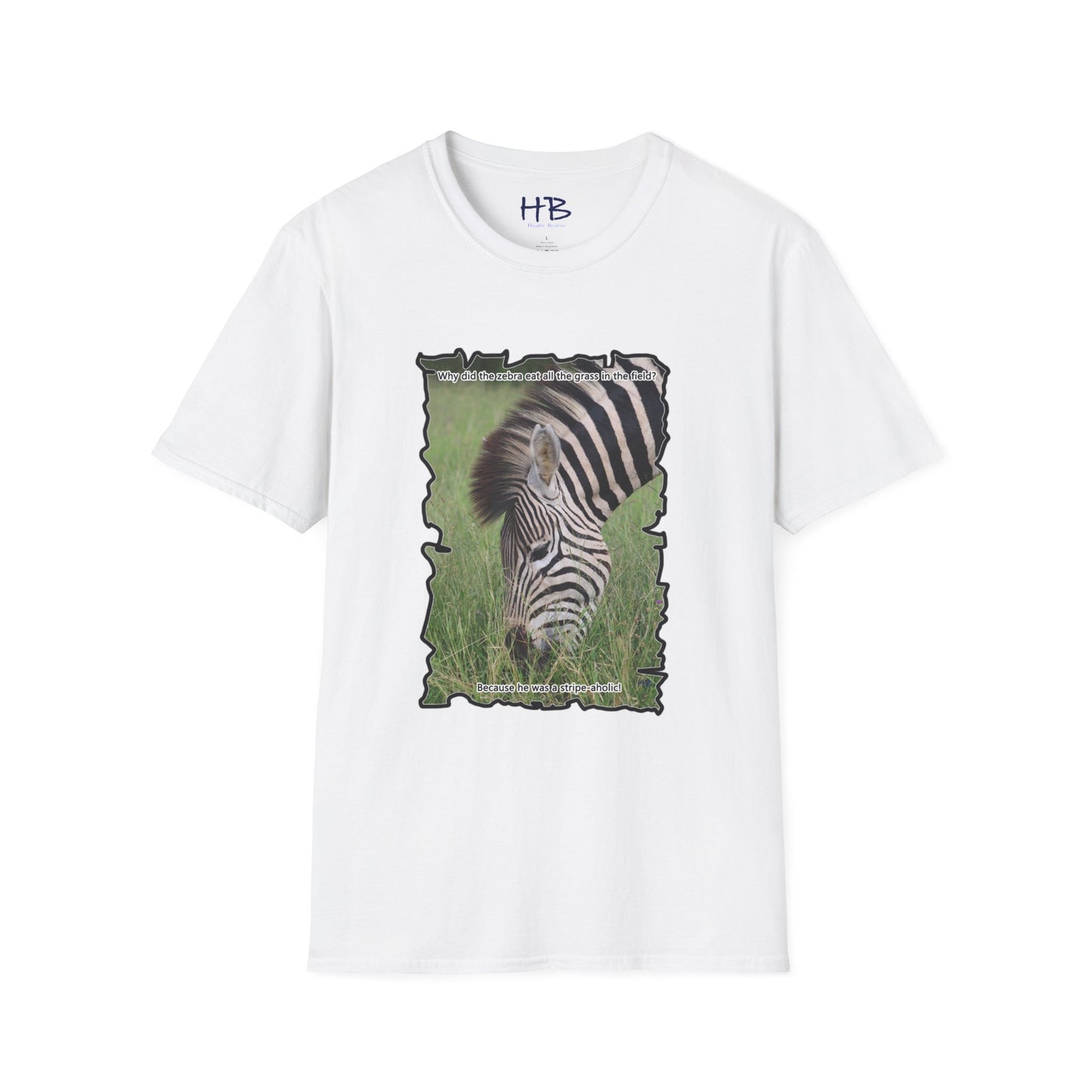 Zebra magnificently eating grass with funny joke