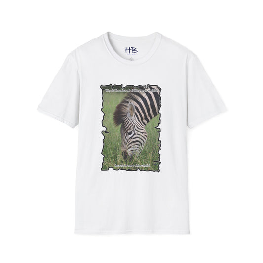 Zebra magnificently eating grass with funny joke