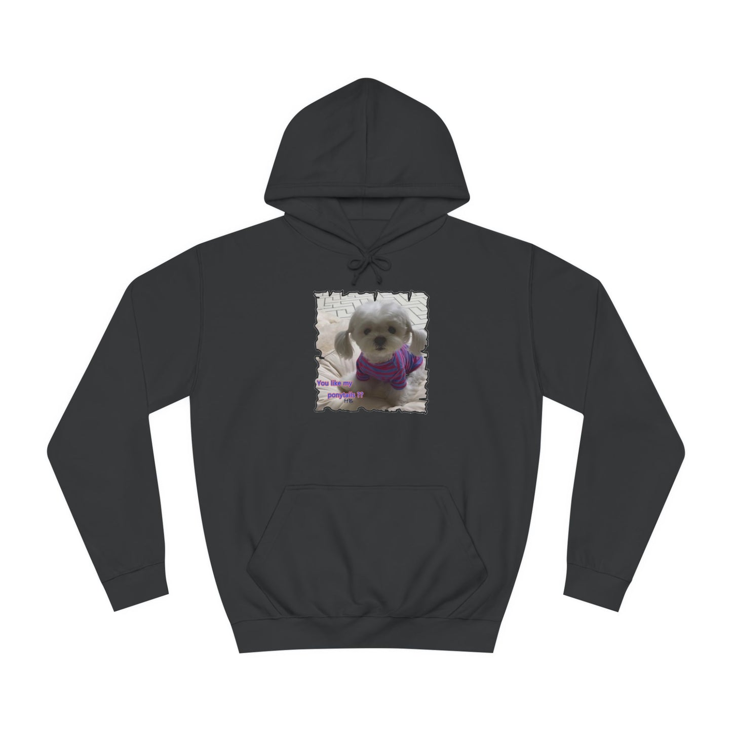 Bichon Maltese extra cute ponytails (Hoodie - Cozy and Durable)