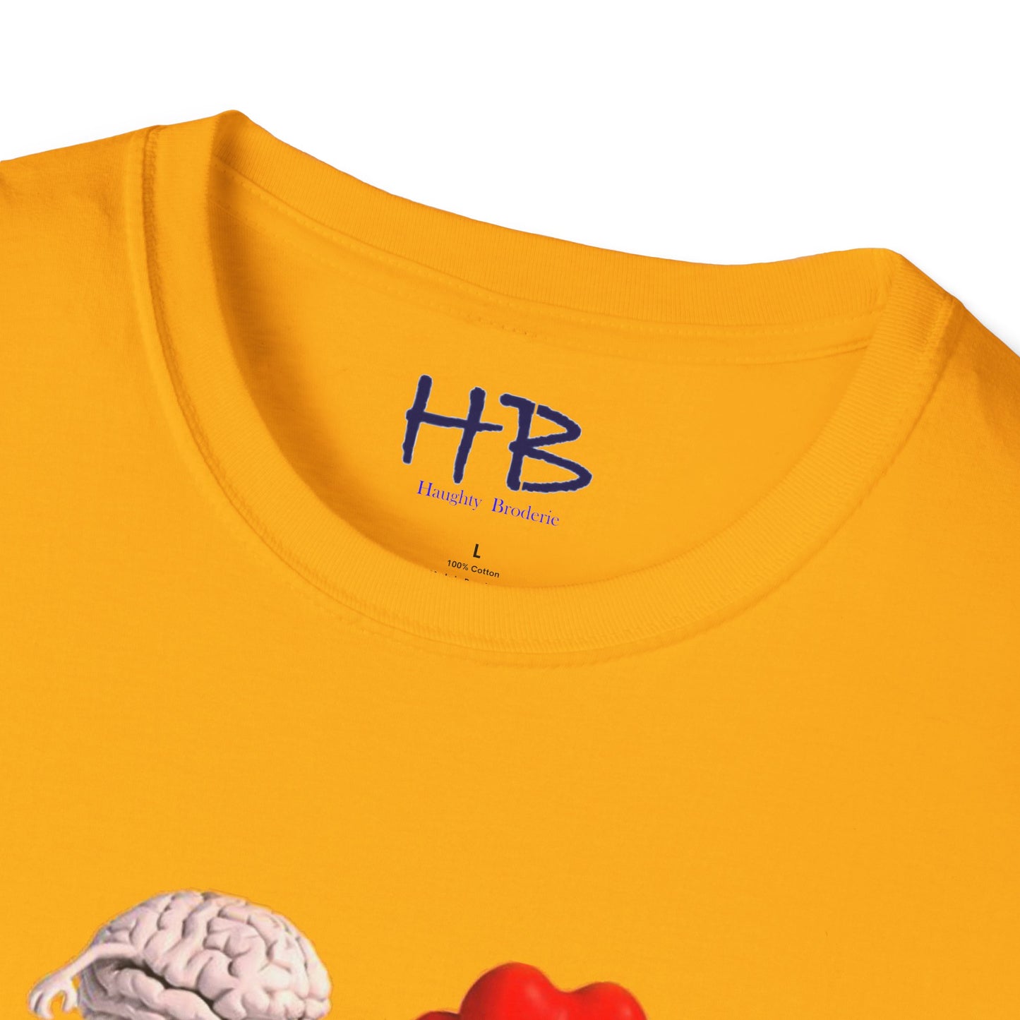 Embracing the Heart-Mind Connection: A Visual Reminder to Follow Your Heart with brain's logic