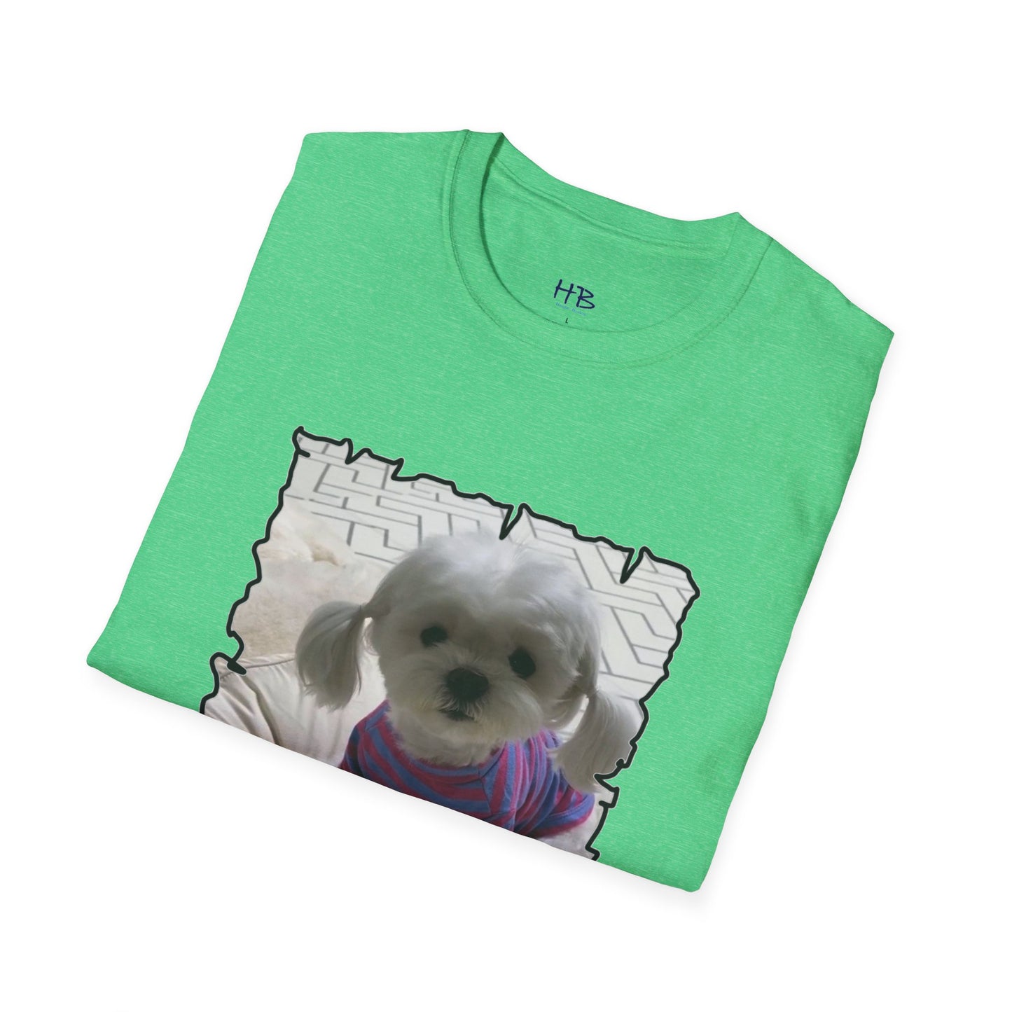 Bichon Maltese extra cute ponytails