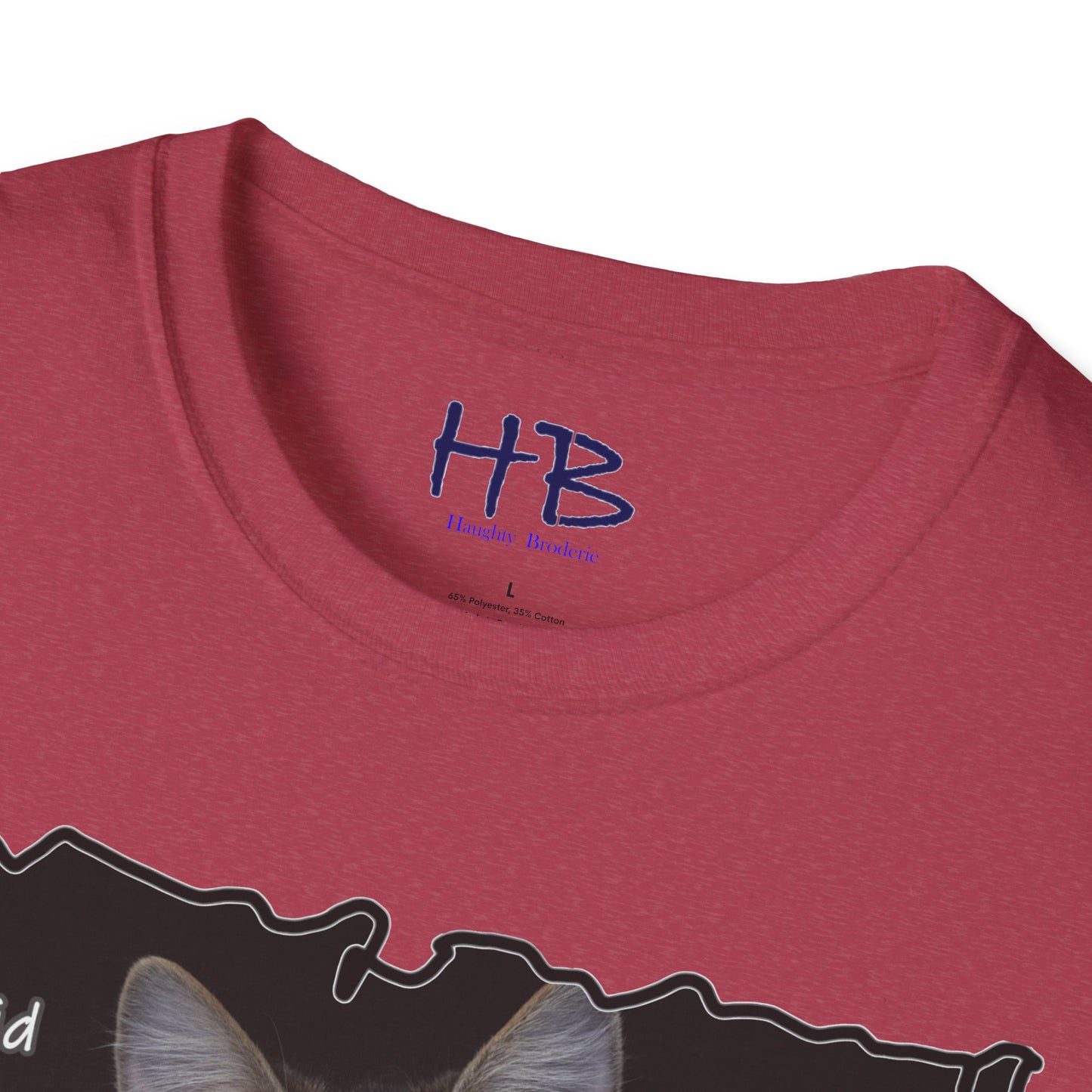 Cat shocked by what you did ""You've got to be kidding me. You did what?!""