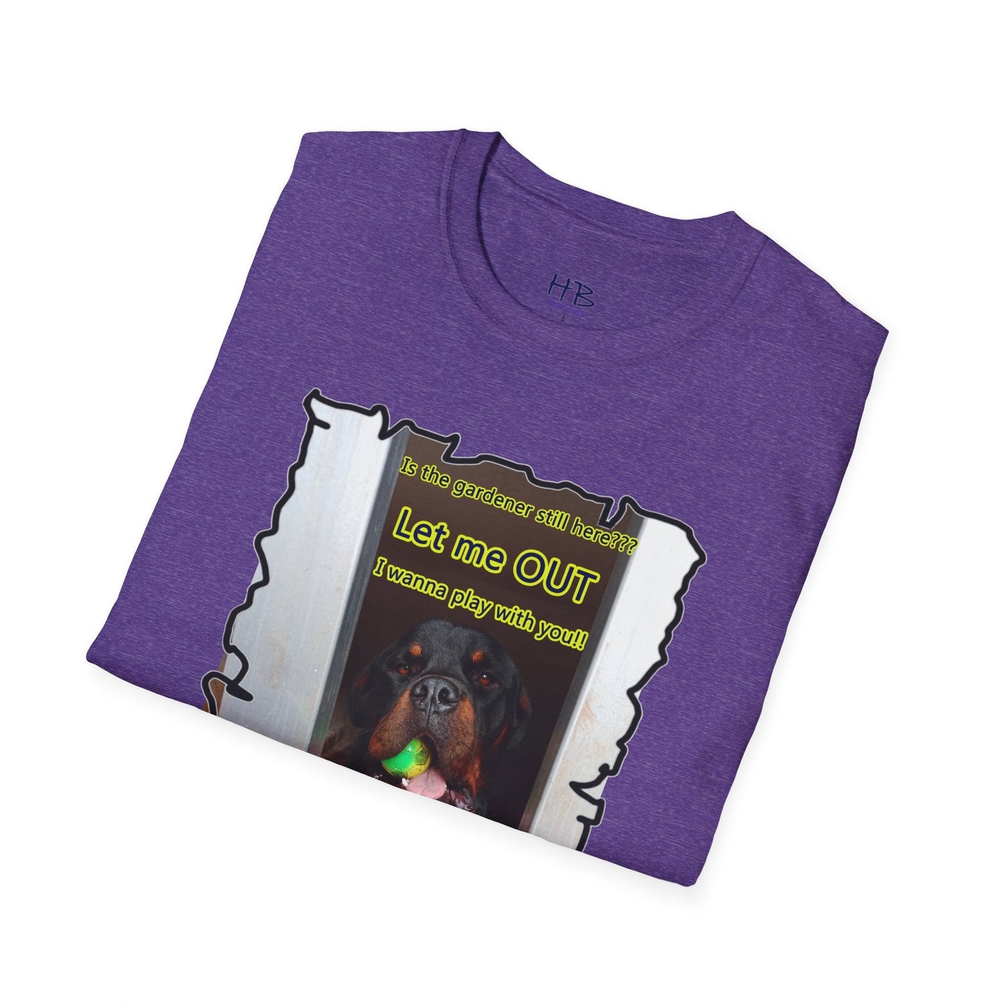 Luke (Male Rottie) with ball begging to play