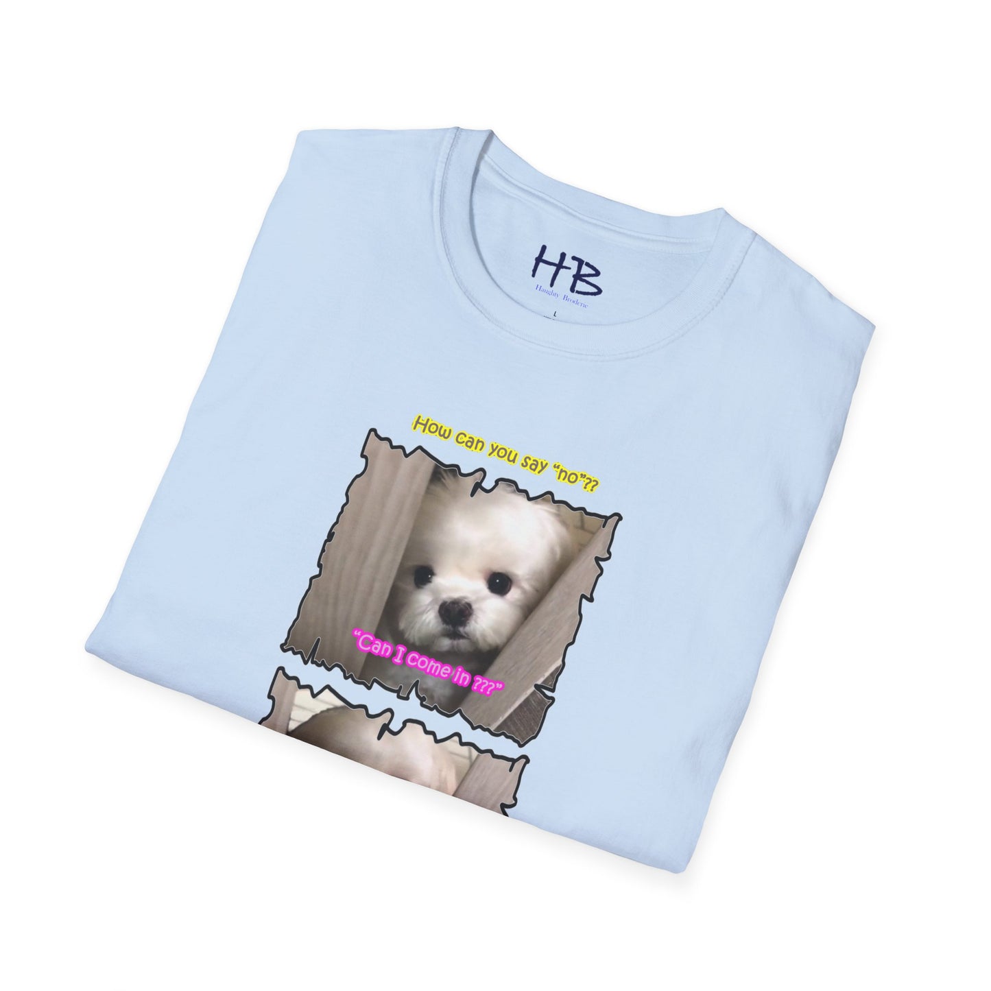 Cutest white Bichon Maltese wanting to play