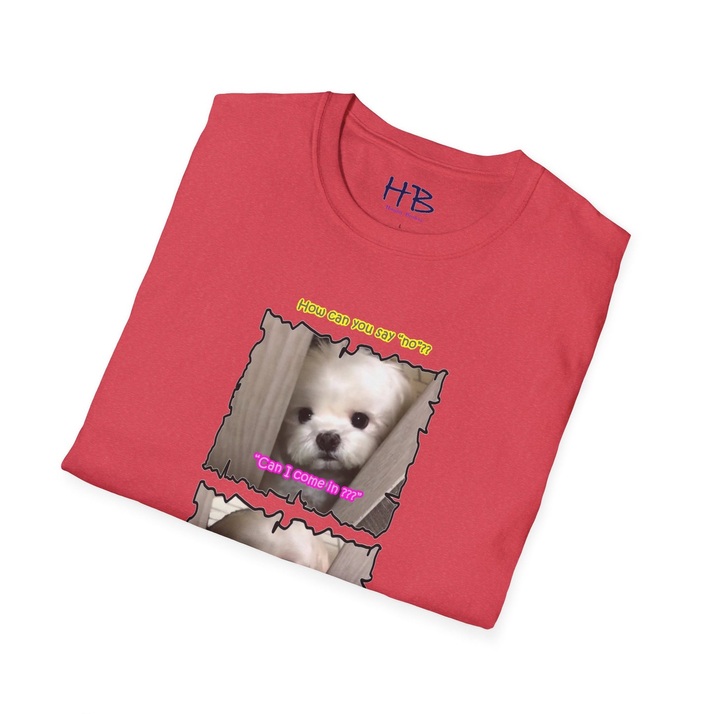 Cutest white Bichon Maltese wanting to play