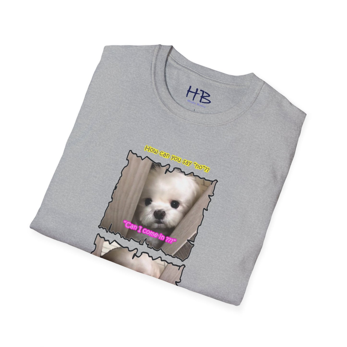 Cutest white Bichon Maltese wanting to play