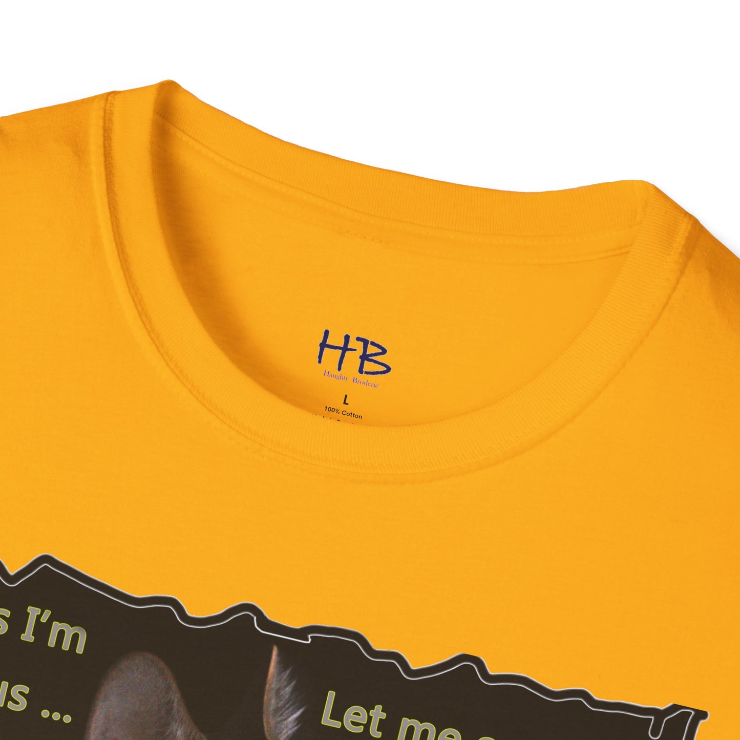 Kitten curiosity and care free