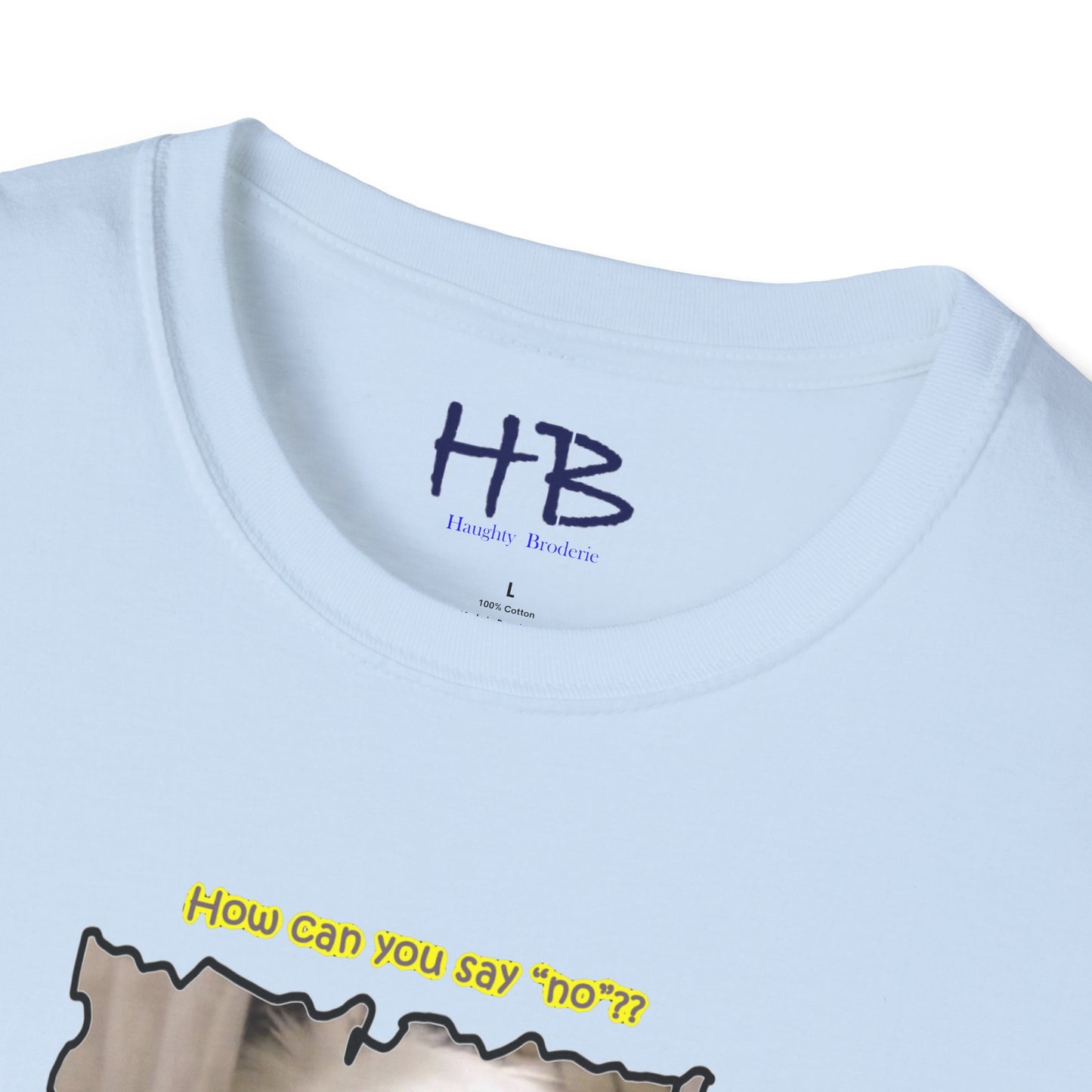 Cutest white Bichon Maltese wanting to play