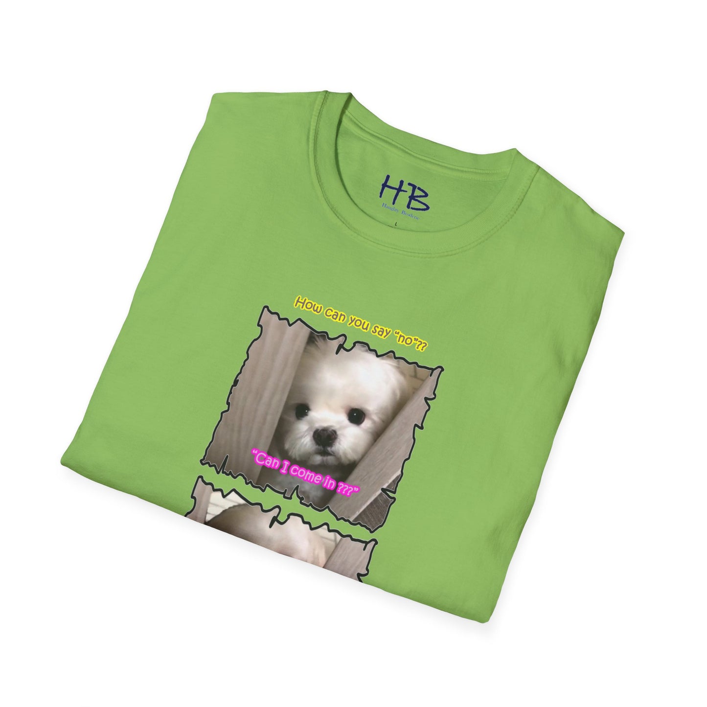 Cutest white Bichon Maltese wanting to play