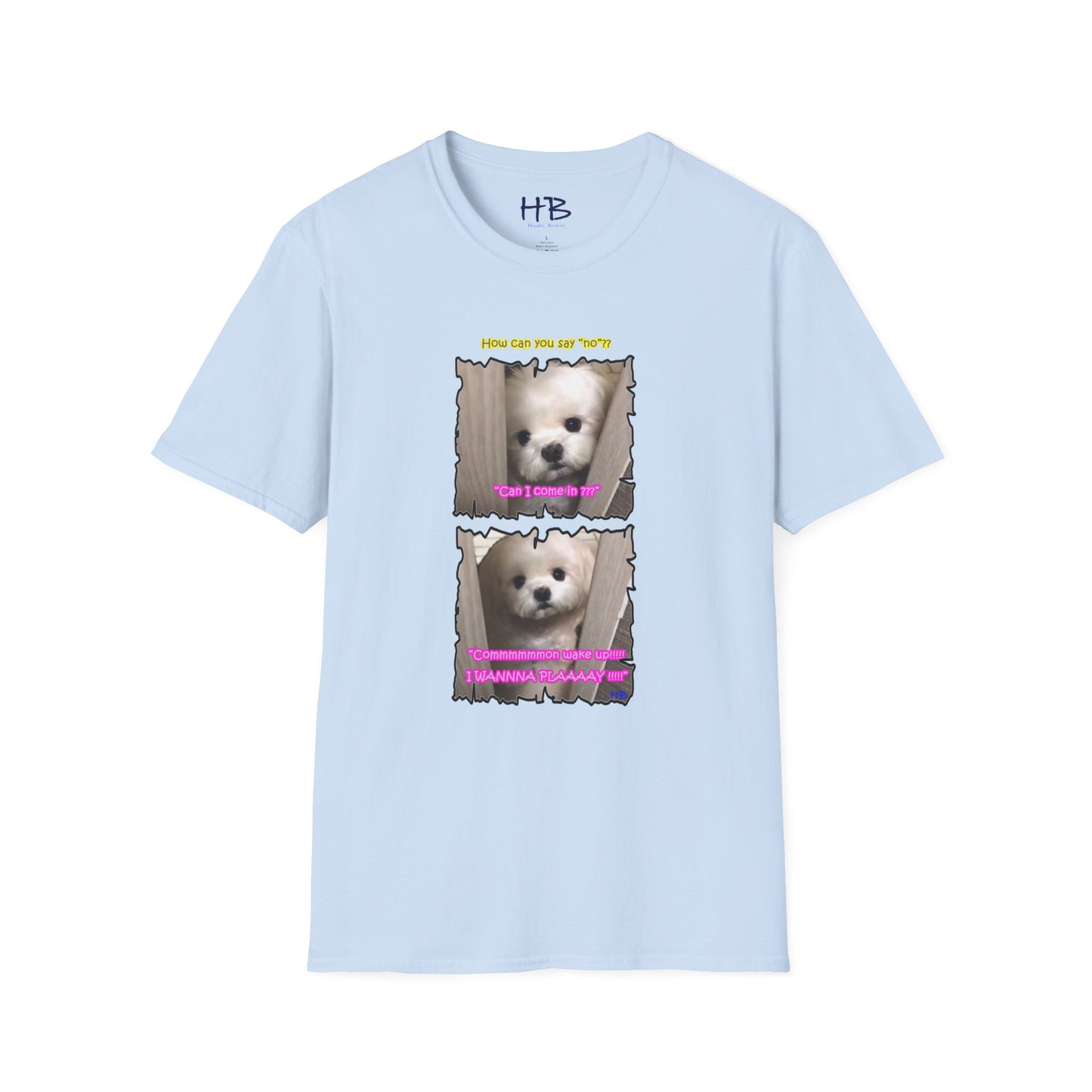 Cutest white Bichon Maltese wanting to play