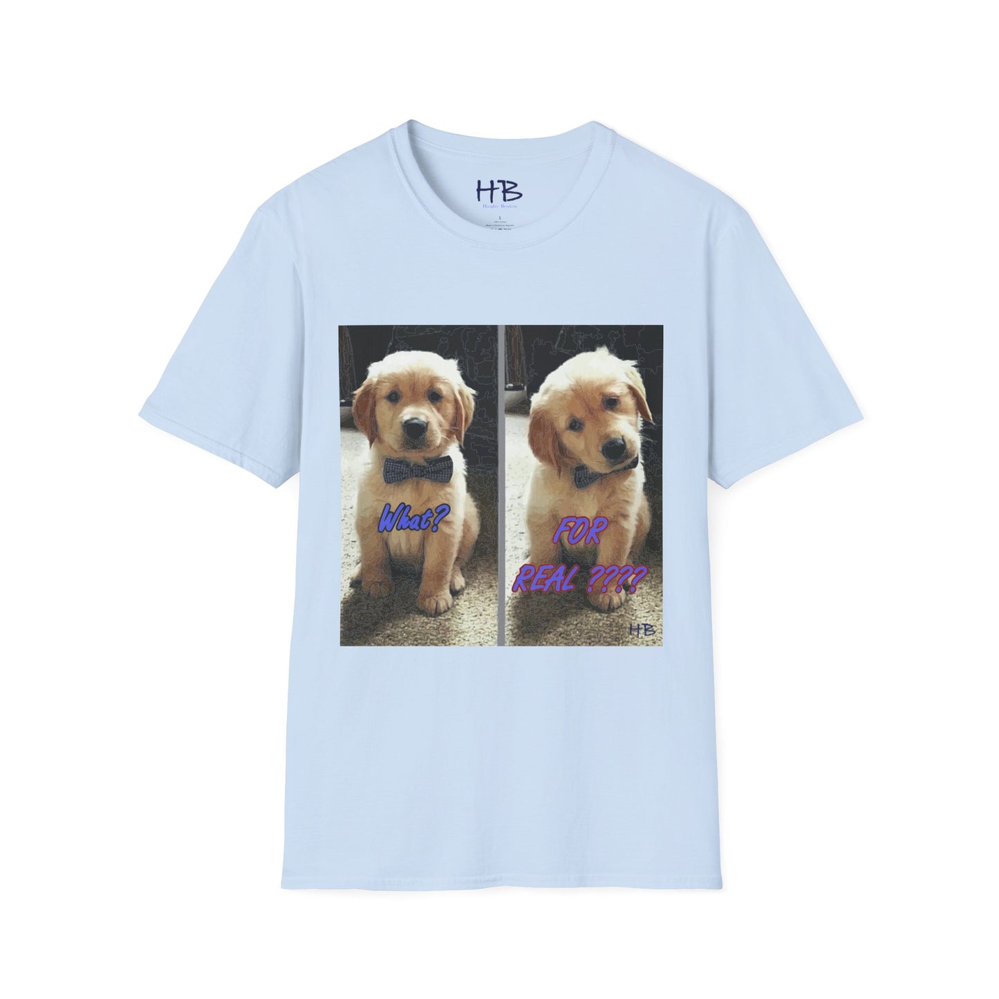 Labbie puppy asking "FOR REAL??????"