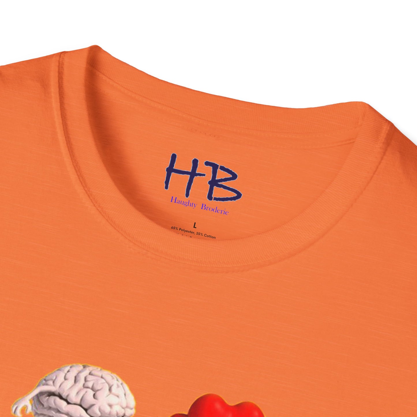 Embracing the Heart-Mind Connection: A Visual Reminder to Follow Your Heart with brain's logic