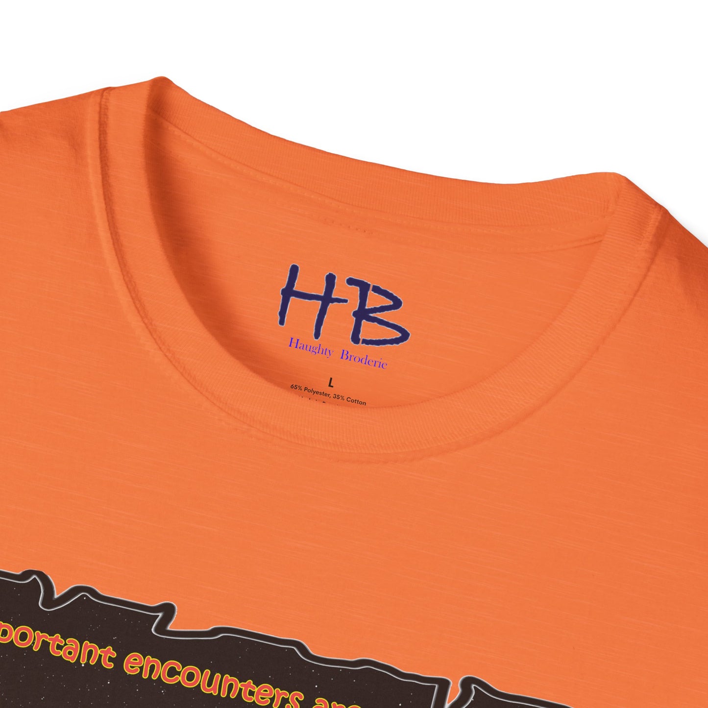 Embrace the Cosmos' Starlit Destiny: A Paulo Coelho Inspired Encounter Beyond Physical with Destiny's Weave for The Soul's Blueprint