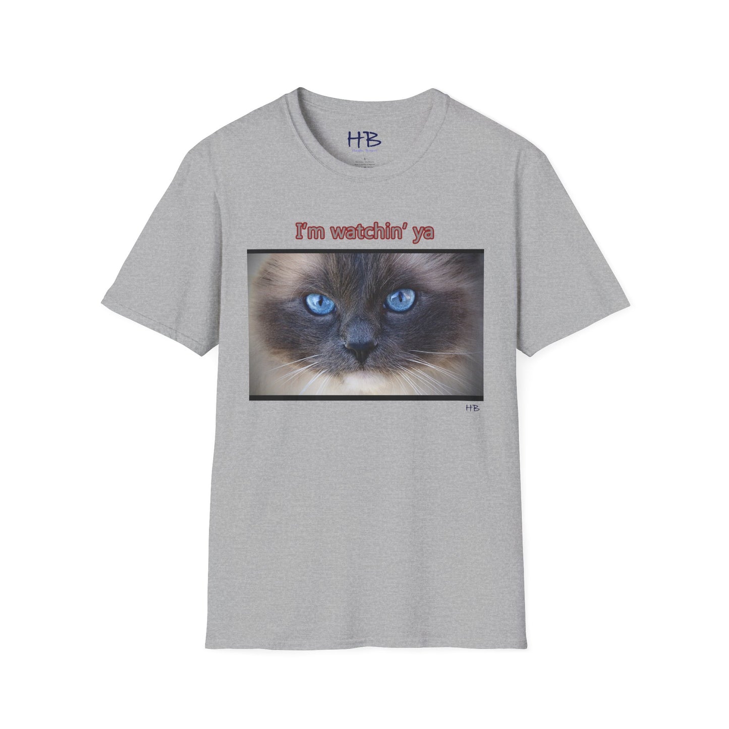 Cat with mesmerizing blue eyes "I'm watchin' ya"