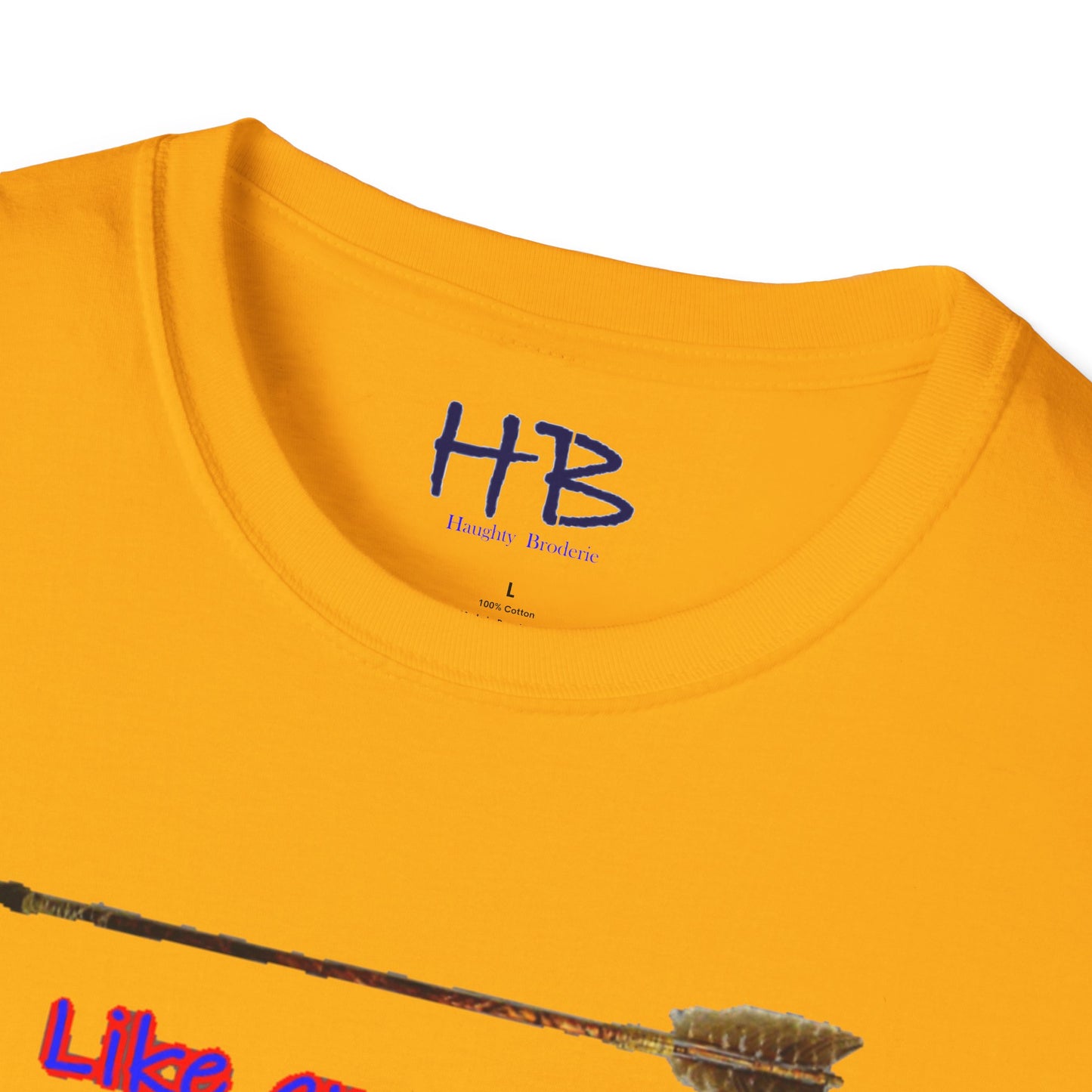 Resilience in Motion to Embrace the Journey:  Harnessing Adversity by Conquering Challenges like an arrow