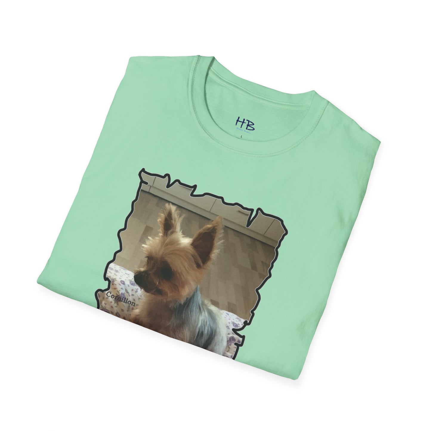 Corail the Yorkshire Toy little baby