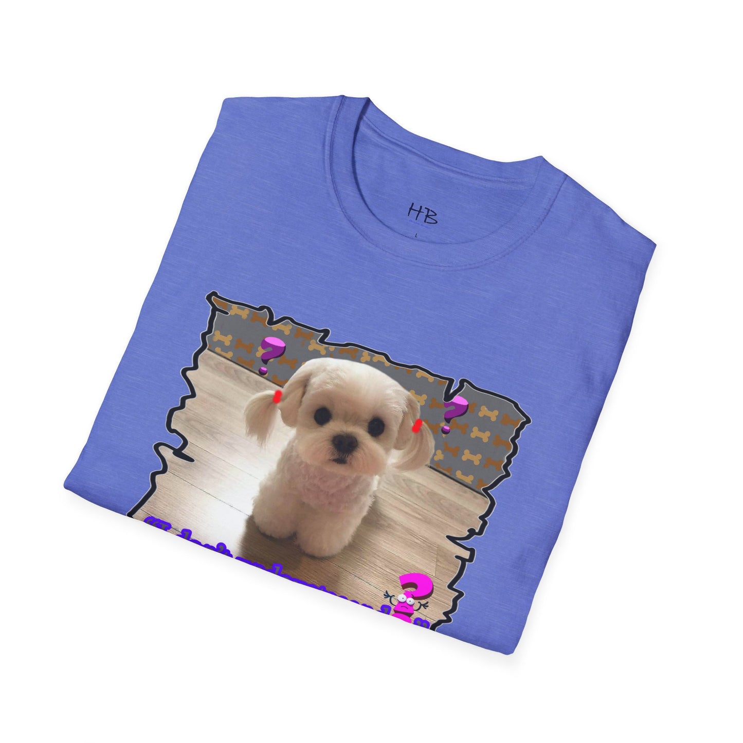 Baby Bichon Maltese with cluelessness innocent look "I don't undoustaaaand"