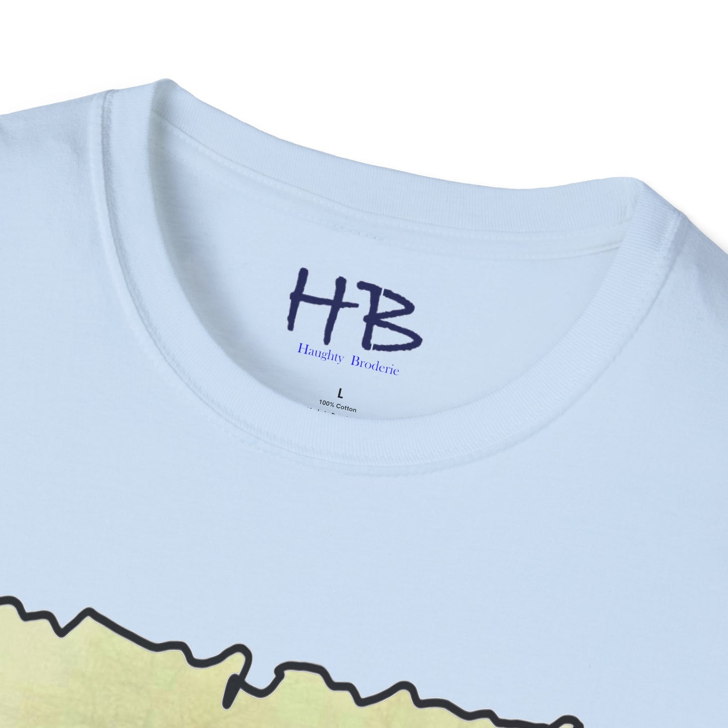 Picasso famous quote learn the rules like a pro