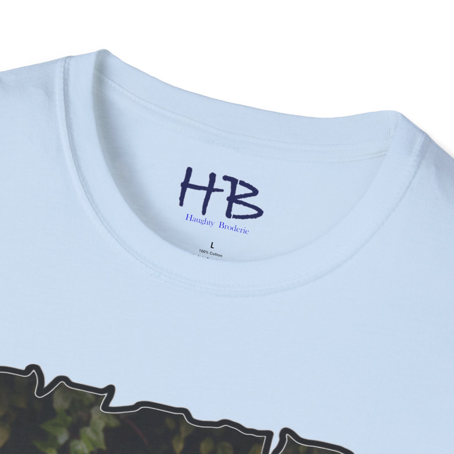 Lonesome beautiful rose