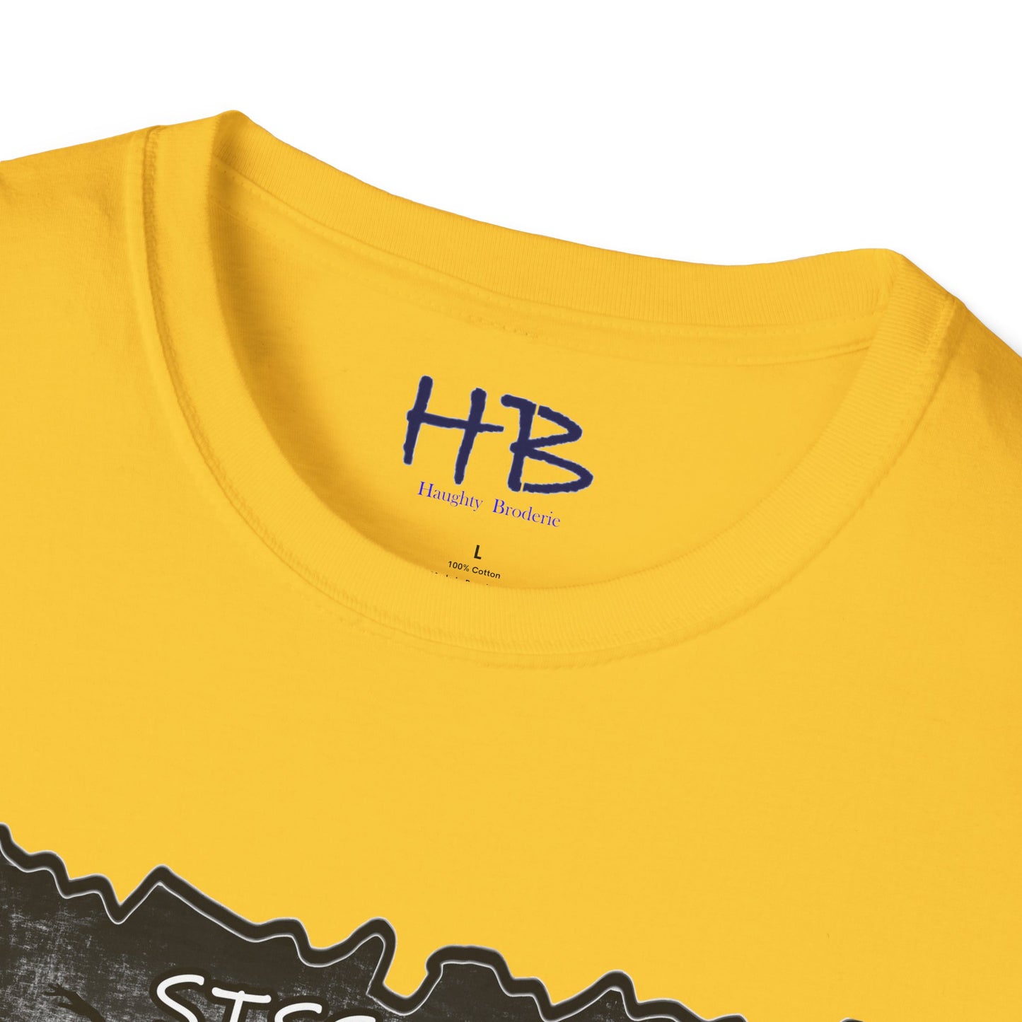 Sissonne Symphony: Capturing the Essence of Ballet with The Ballerina's Aura