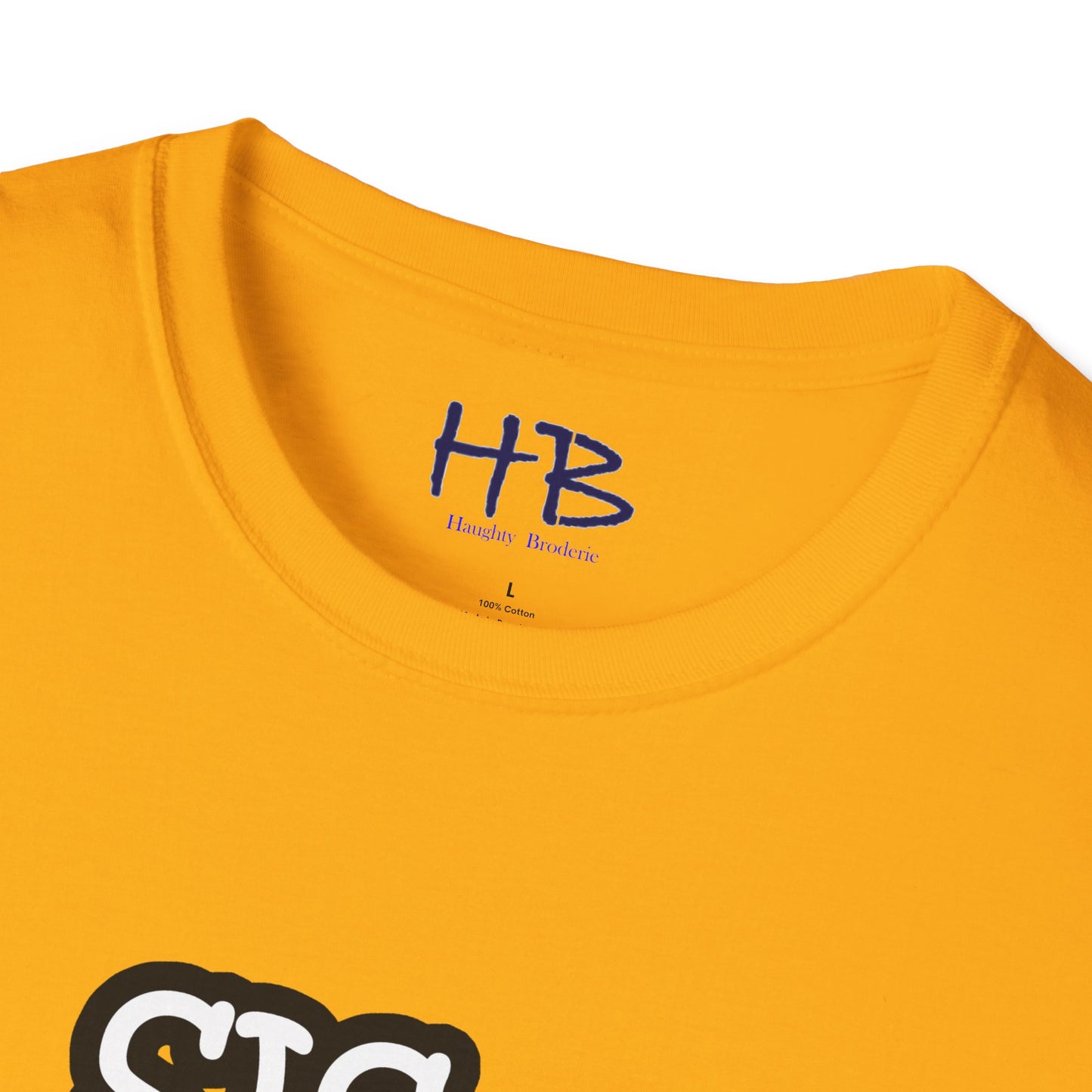 Empowering Persistence with Resilience Manifesto: The Fortitude Emblem Strength Epitome