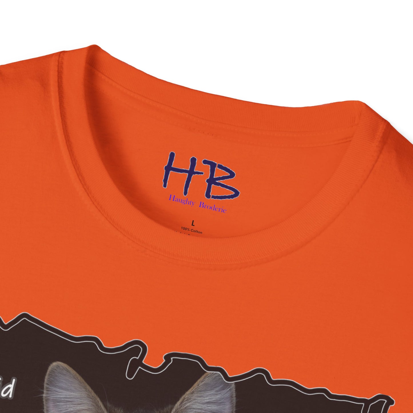 Cat shocked by what you did ""You've got to be kidding me. You did what?!""