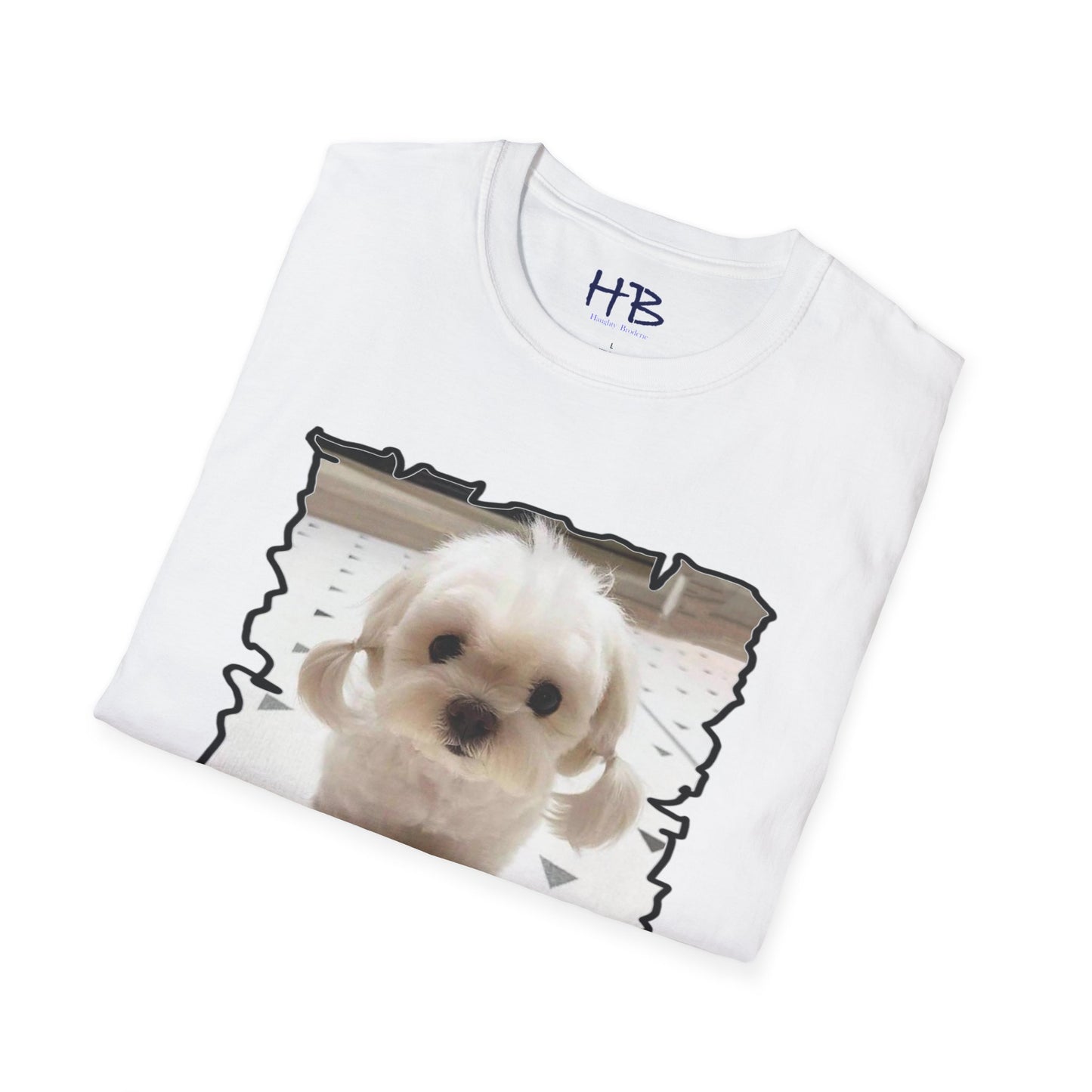 Very cute white Bichon Maltese