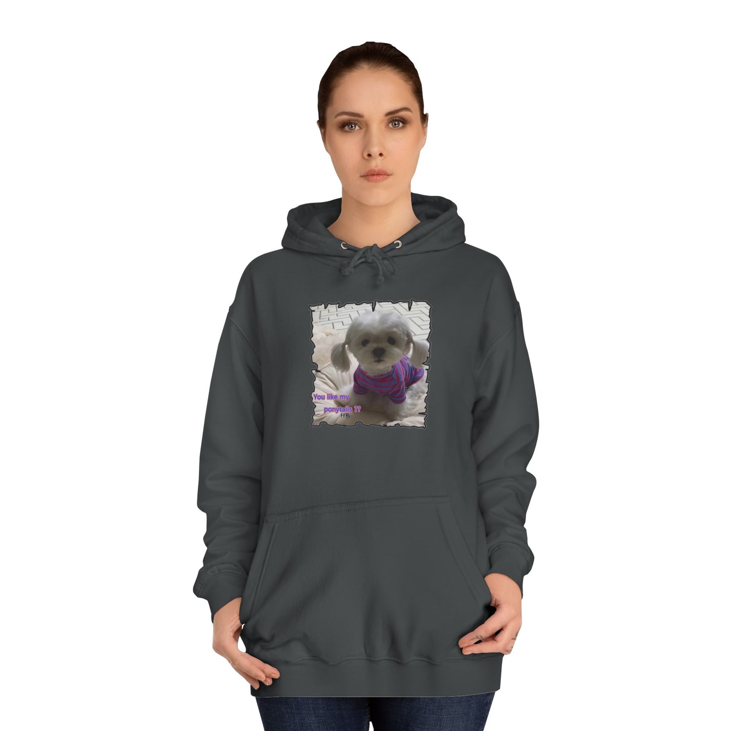Bichon Maltese extra cute ponytails (Hoodie - Cozy and Durable)