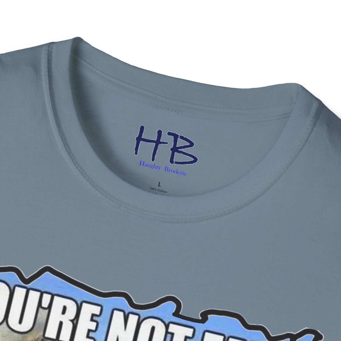 Two chubby husky dogs comforting each other about being husky