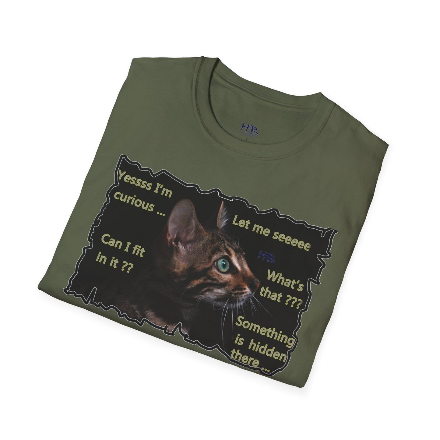 Kitten curiosity and care free