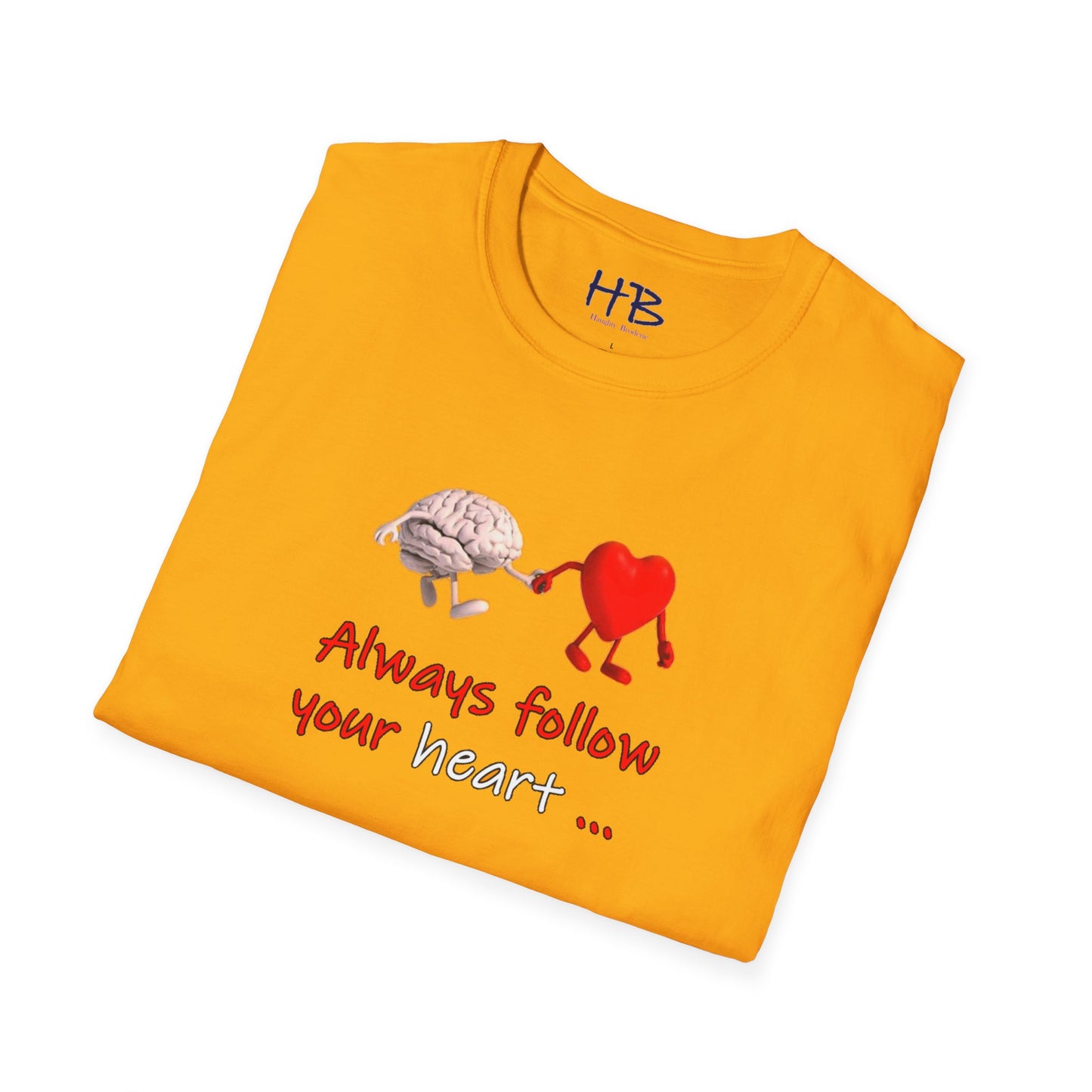 Embracing the Heart-Mind Connection: A Visual Reminder to Follow Your Heart with brain's logic