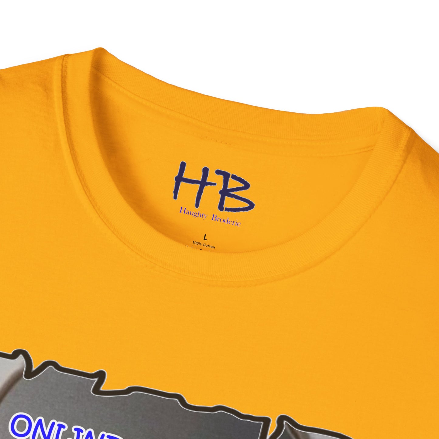 Reflective Message in Metaphorical Apple using Digital Insights with Hidden Realities: Unveiling Digital Realities Unmasking Virtual Facades  Beyond the Screen's Perception