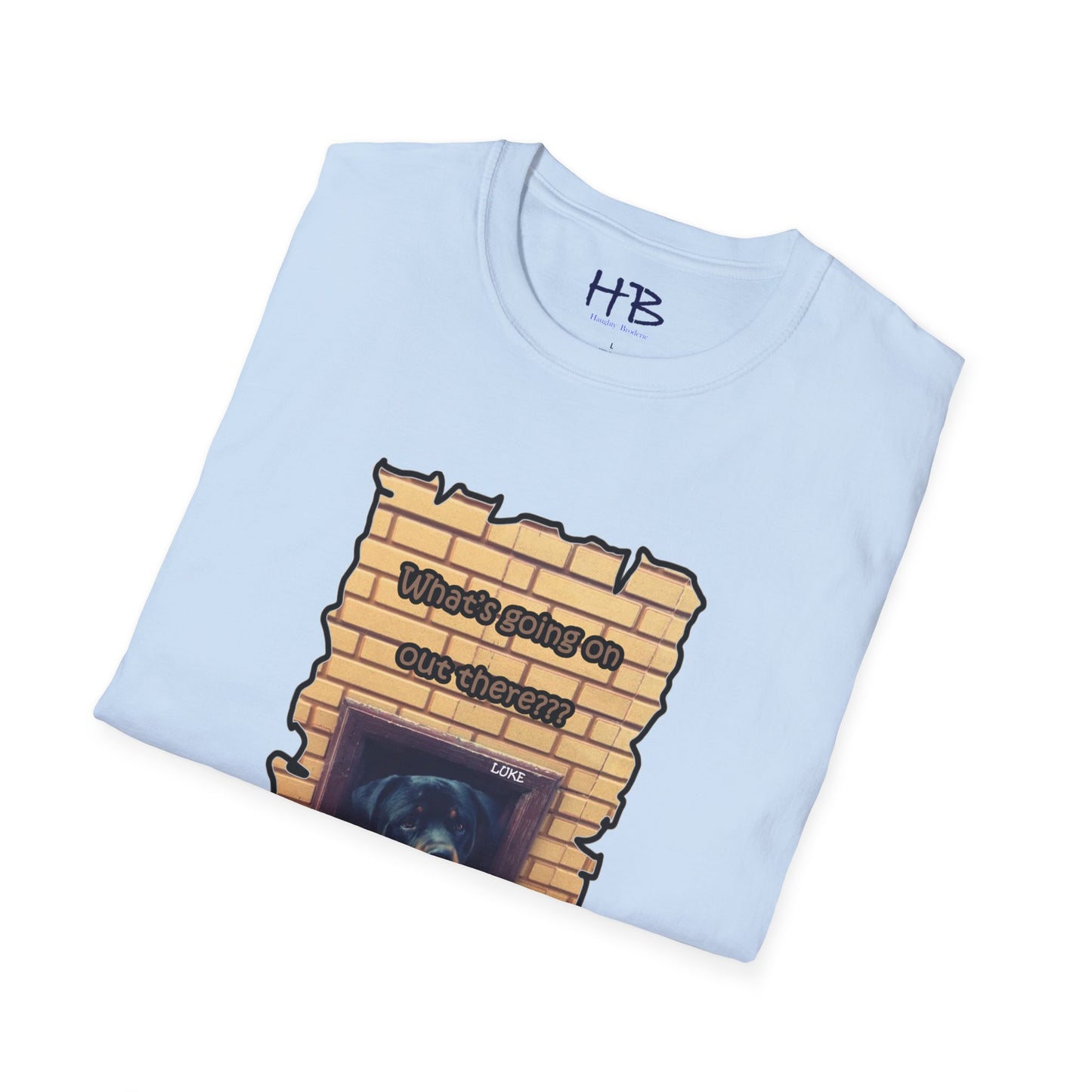 A Tale of Luke's Awakening: Puzzled Perfection looking to Embrace Equanimity