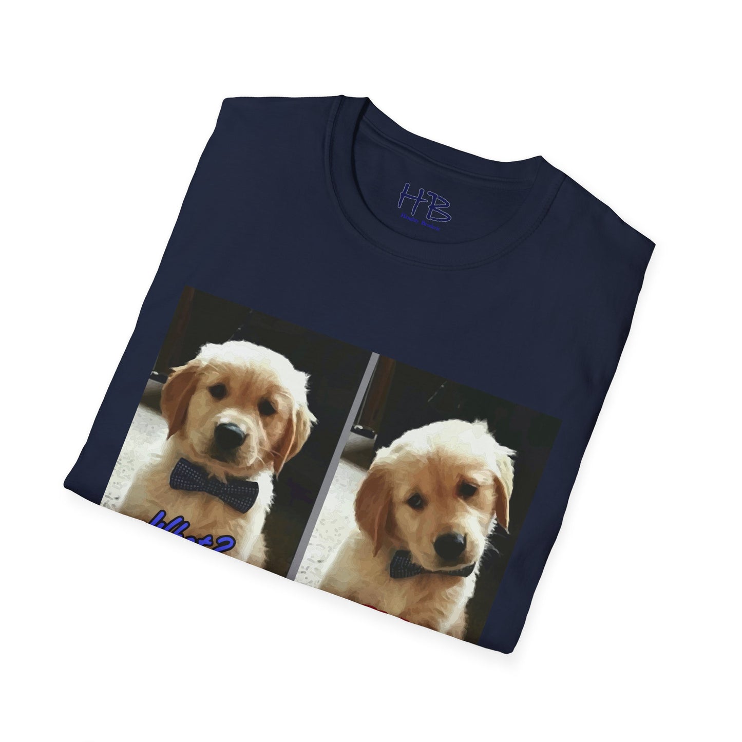 Labbie puppy asking "FOR REAL??????"