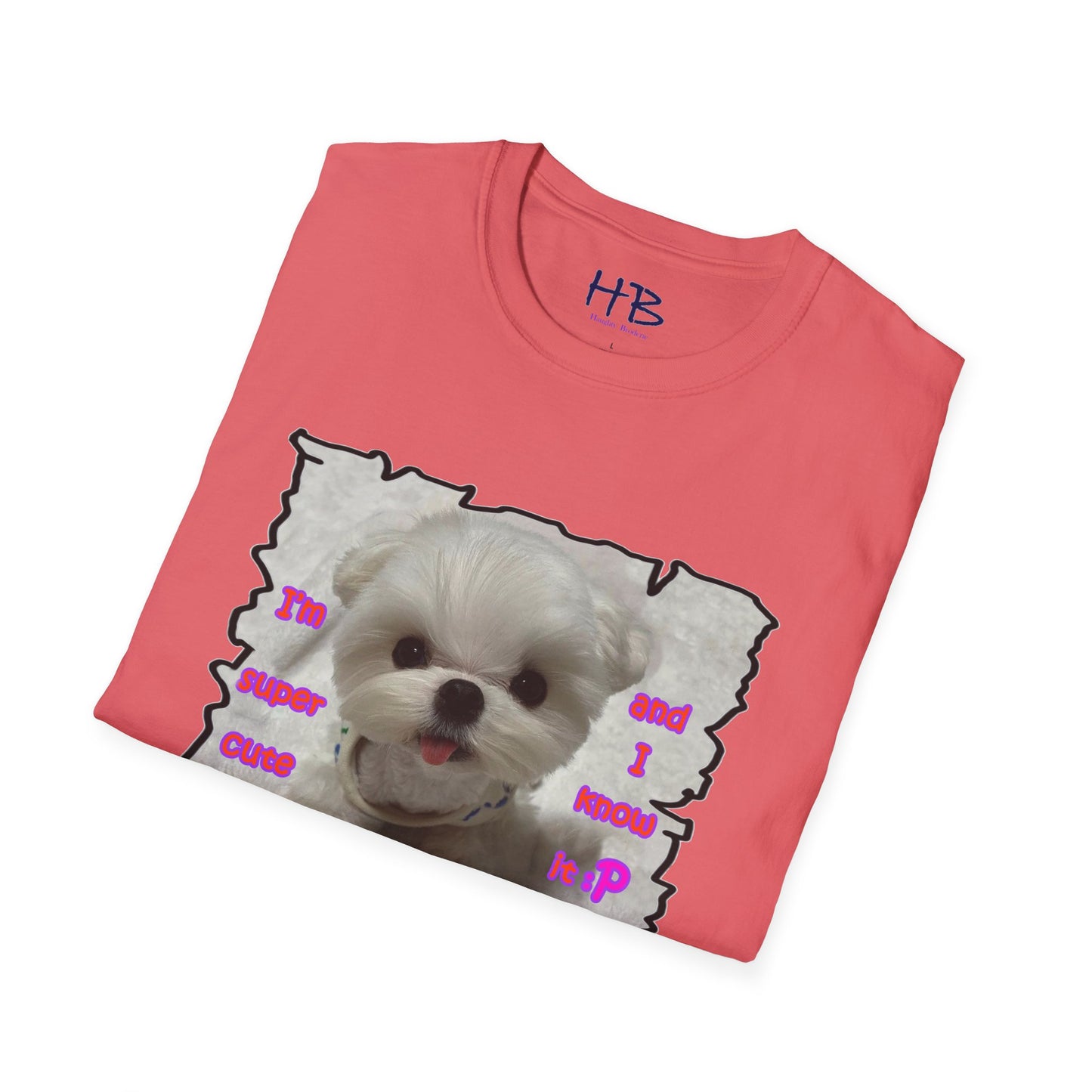 Cutest Bichon Maltese screaming out that it is the "Cutest and it knows it!!!"