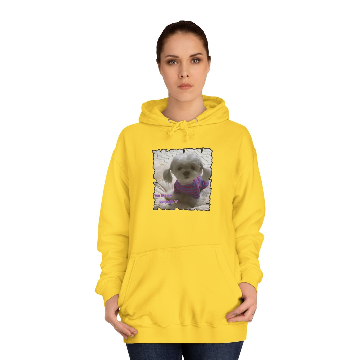 Bichon Maltese extra cute ponytails (Hoodie - Cozy and Durable)